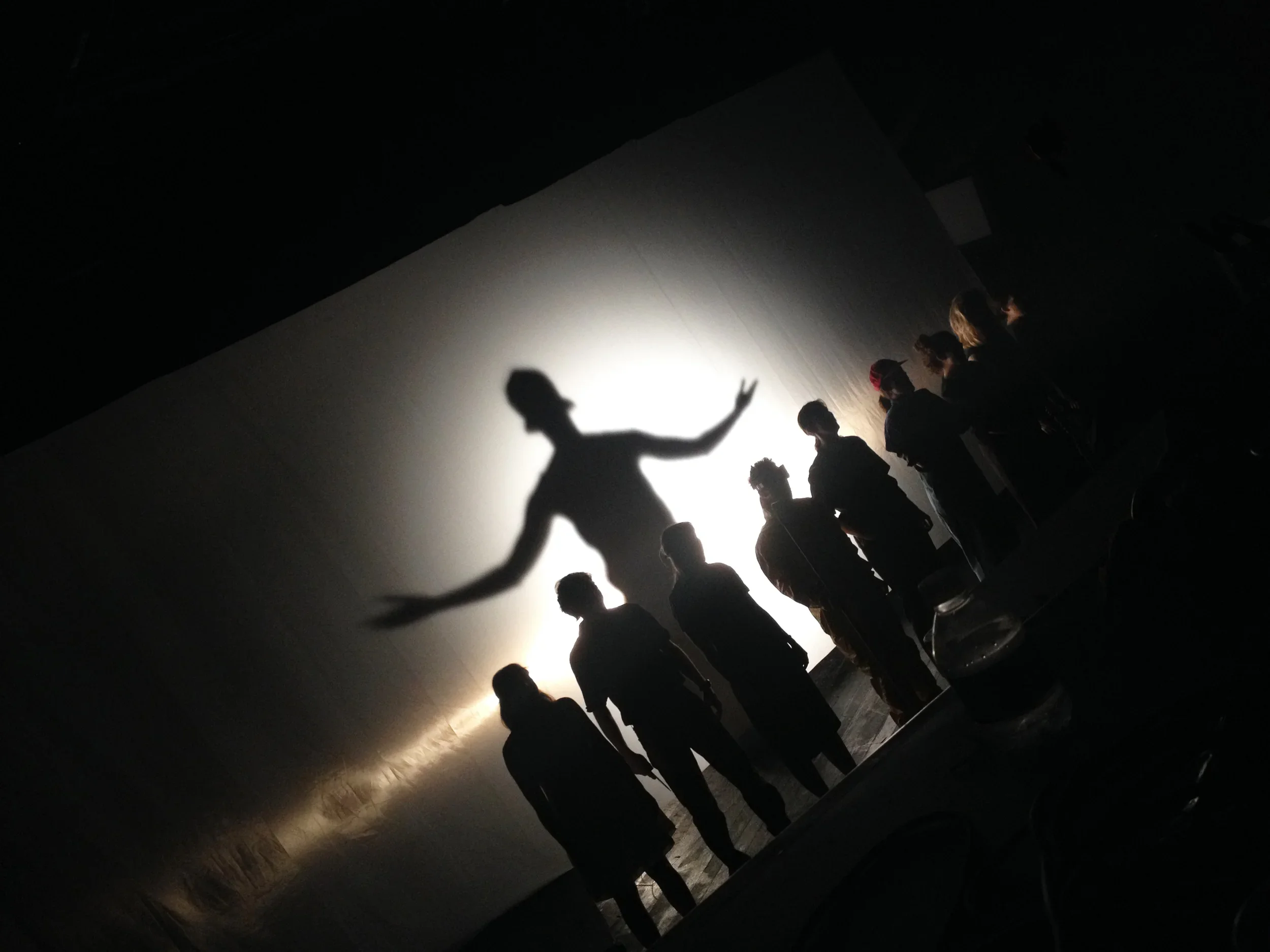 People standing in a line with a shadow puppet of a dancer projected on the wall behind them.