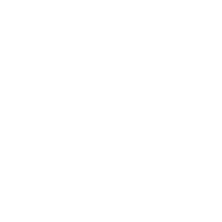 The Foundry Barbell