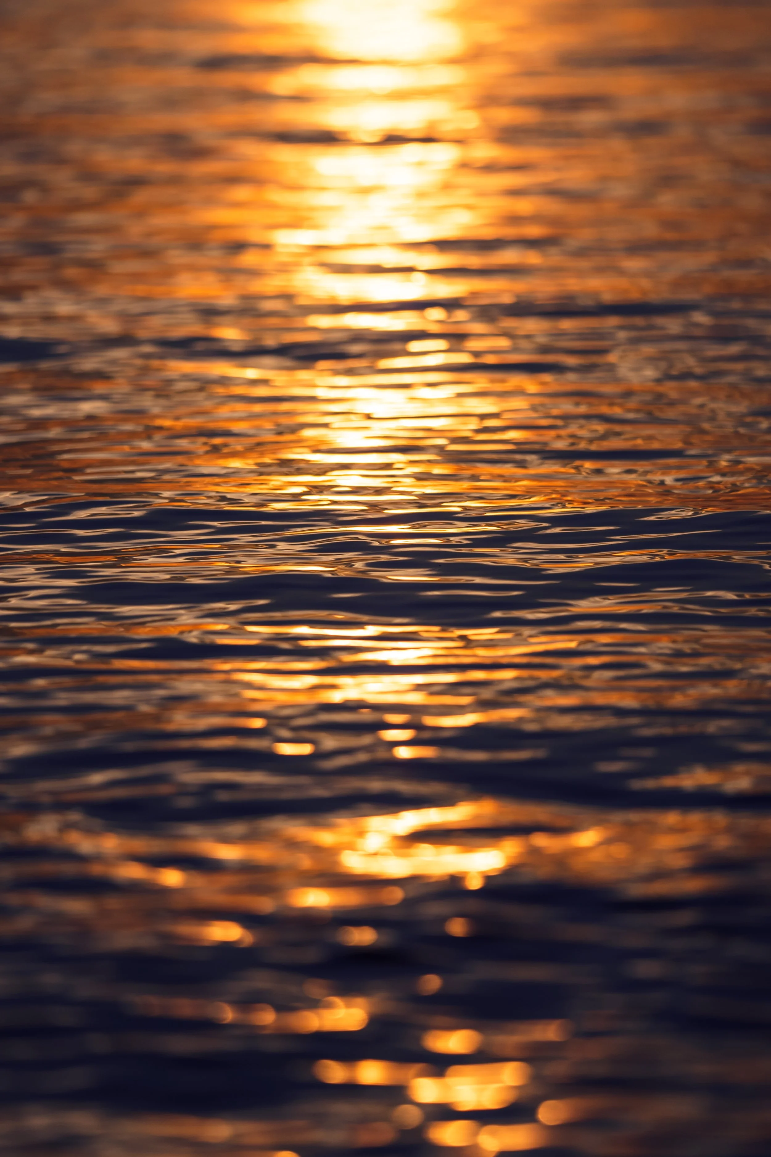 Calming sunset reflected on still wanted