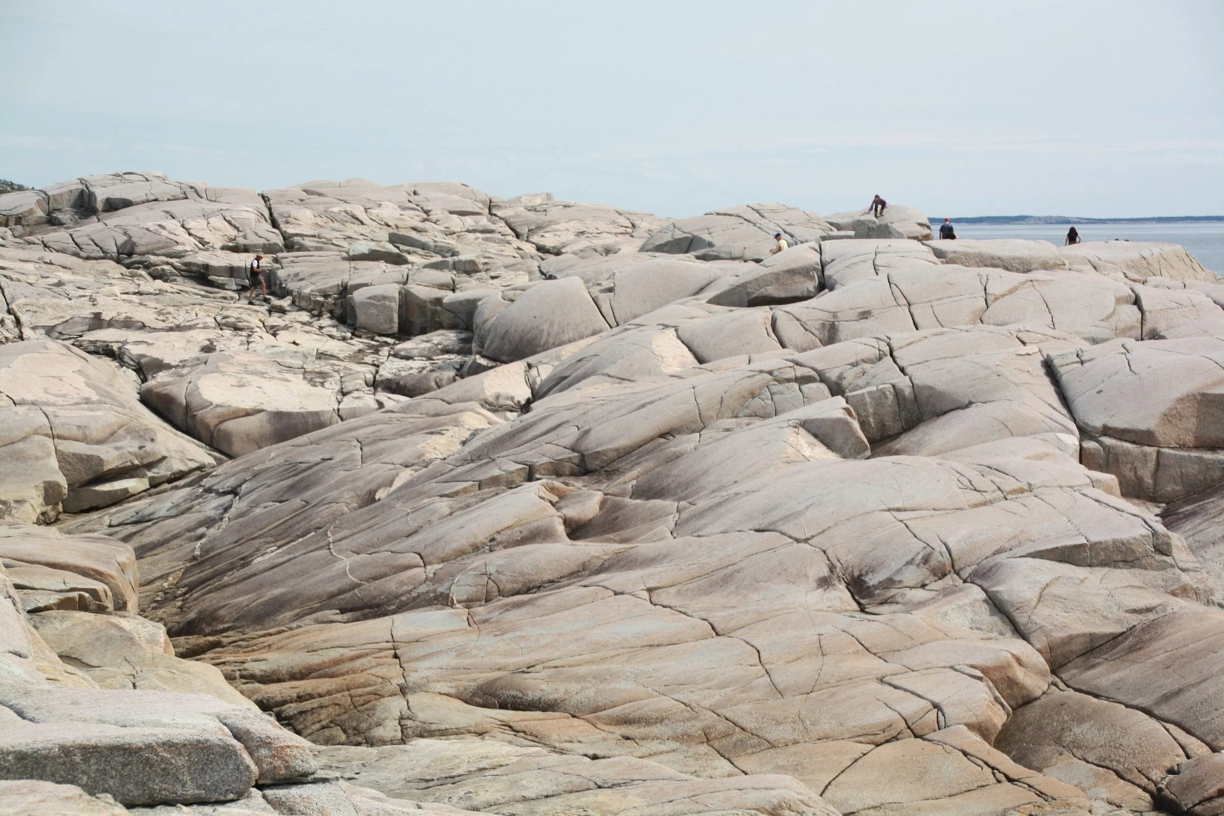 Discovery Conversation