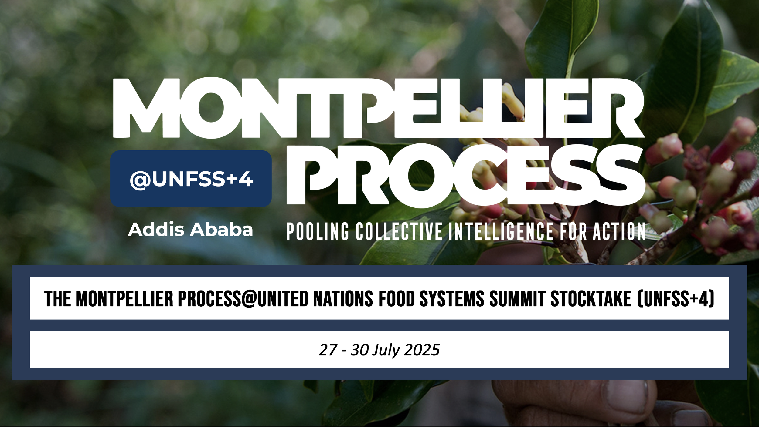 The Montpellier Process at UNFSS+4, Addis Ababa, Ethiopia