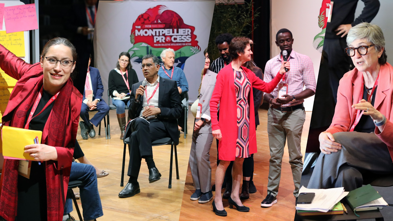 Pooling Collective Intelligence for Action - The Montpellier Process, Montpellier, France