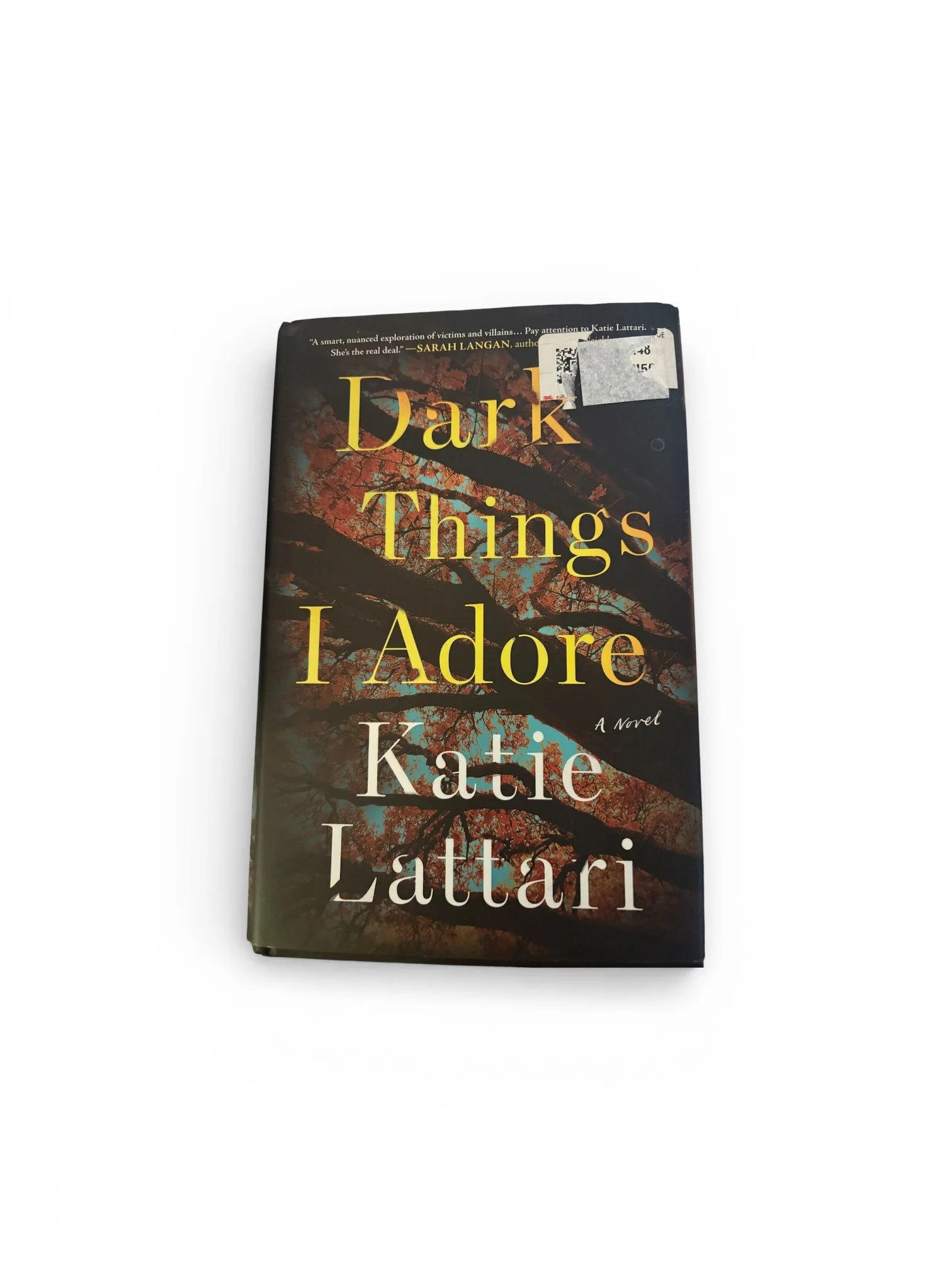 Dark Things I Adore by Katie Lattari
