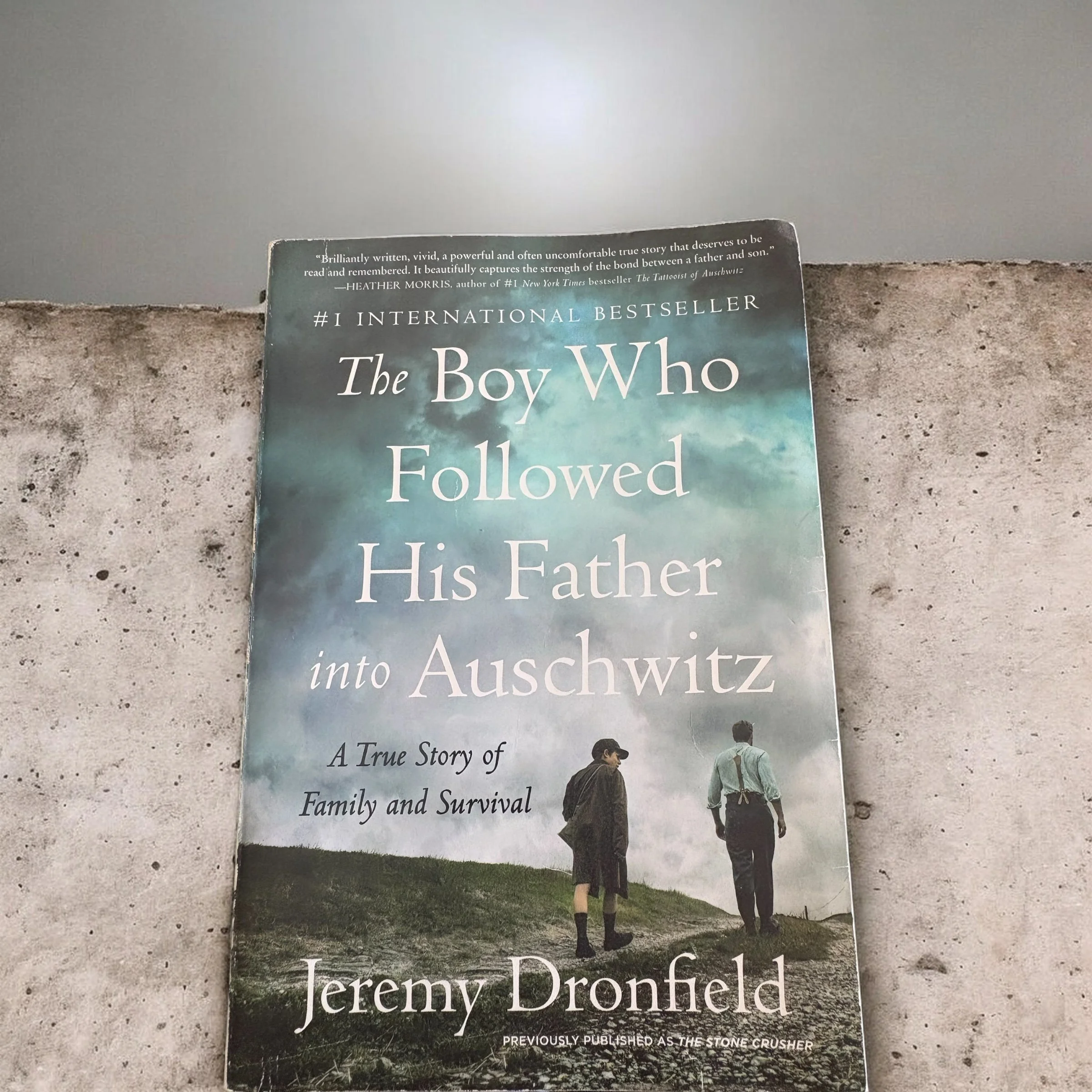 The Boy Who Followed His Father into Auschwitz by Jeremy Dronfield