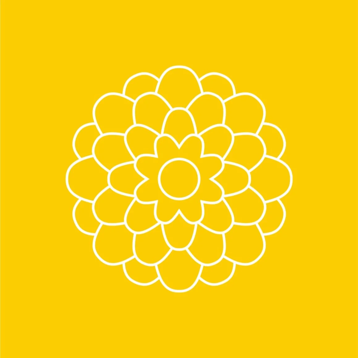The symbol of a pretty flower, the iconic Chrysanthemum, mathematically sound as foundation of our latest identity work for @oliveradeflorin