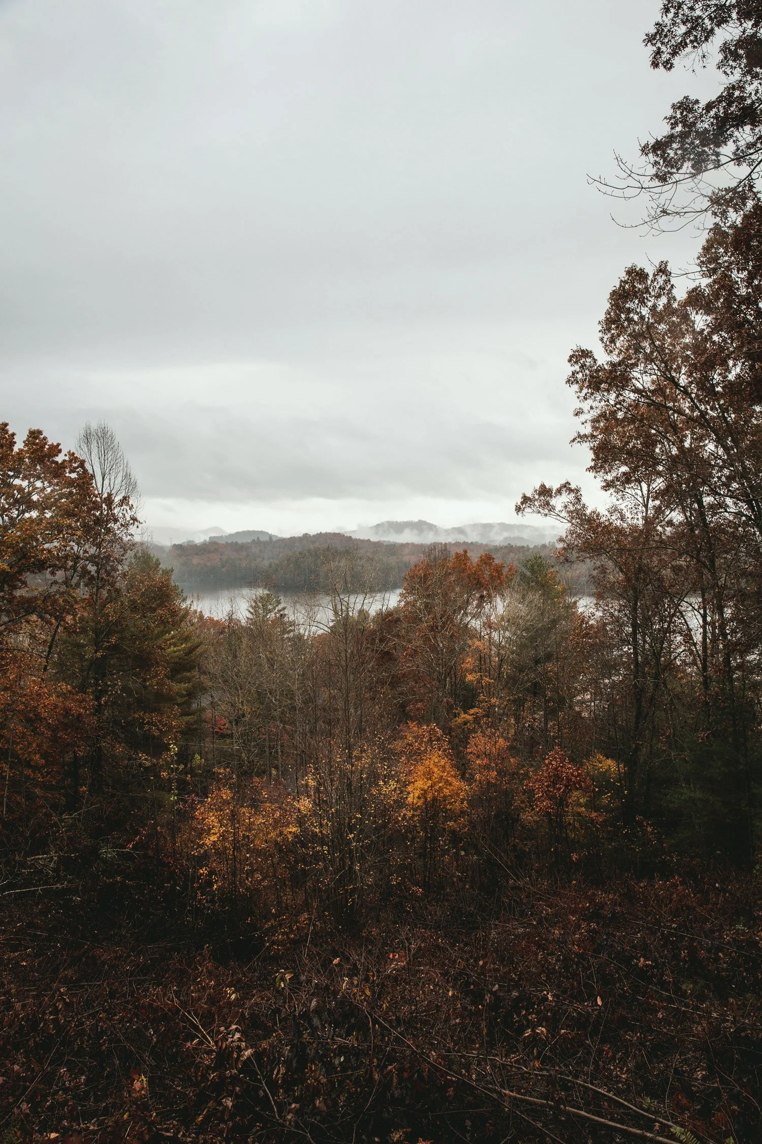 A landscape view of fall foliage with trees in shades of orange, yellow, and green, a body of water in the background, and a cloudy gray sky.