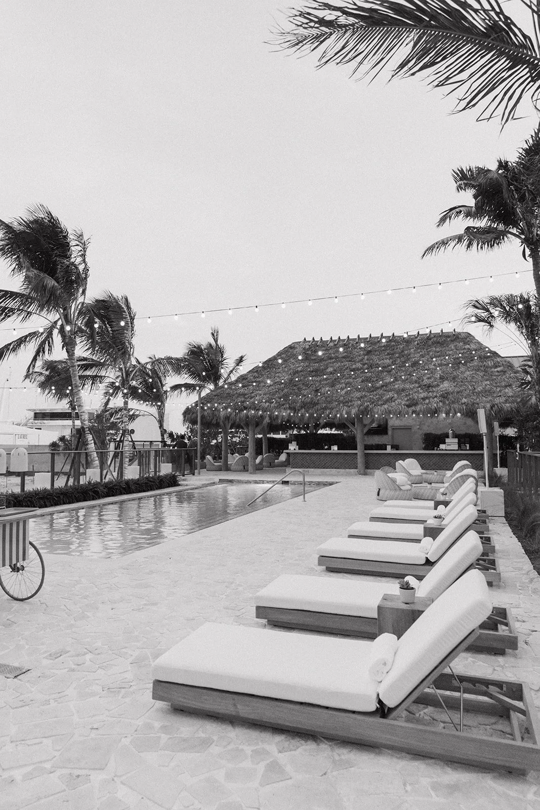 Icon Marina Village Grand Opening