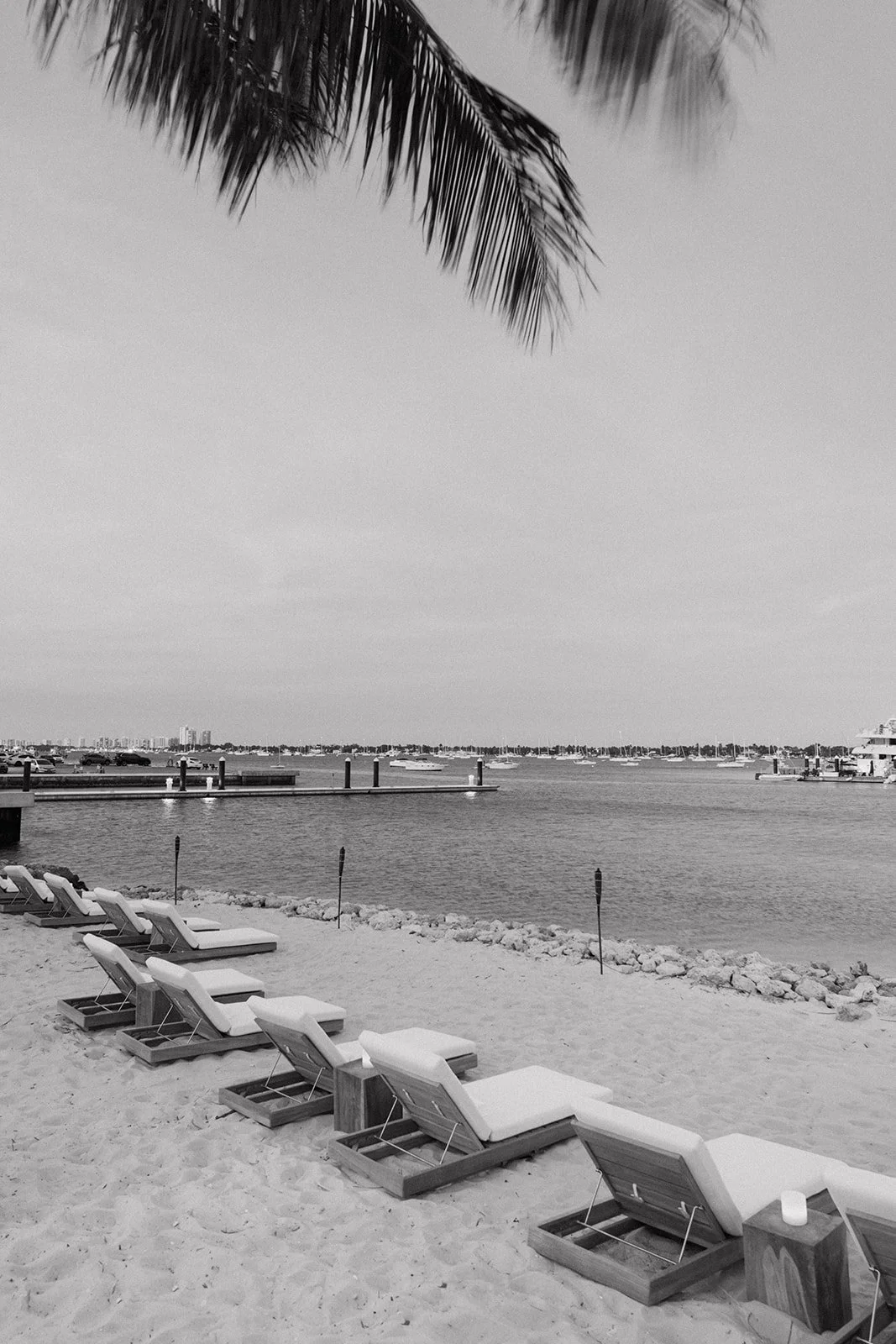 Icon Marina Village Grand Opening Party