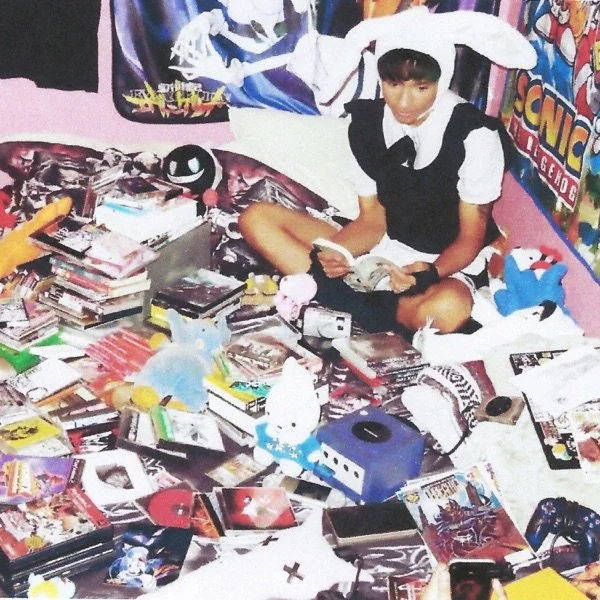 I Never Meant For This To Happen.jpg