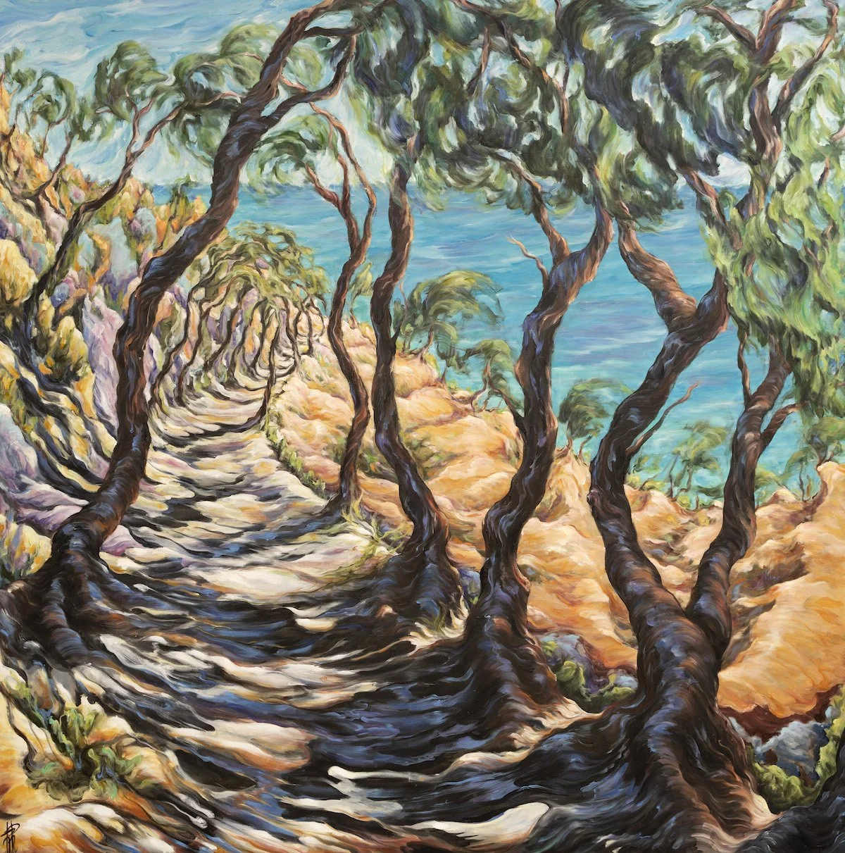 Le chemin de Paola | Terre vierges