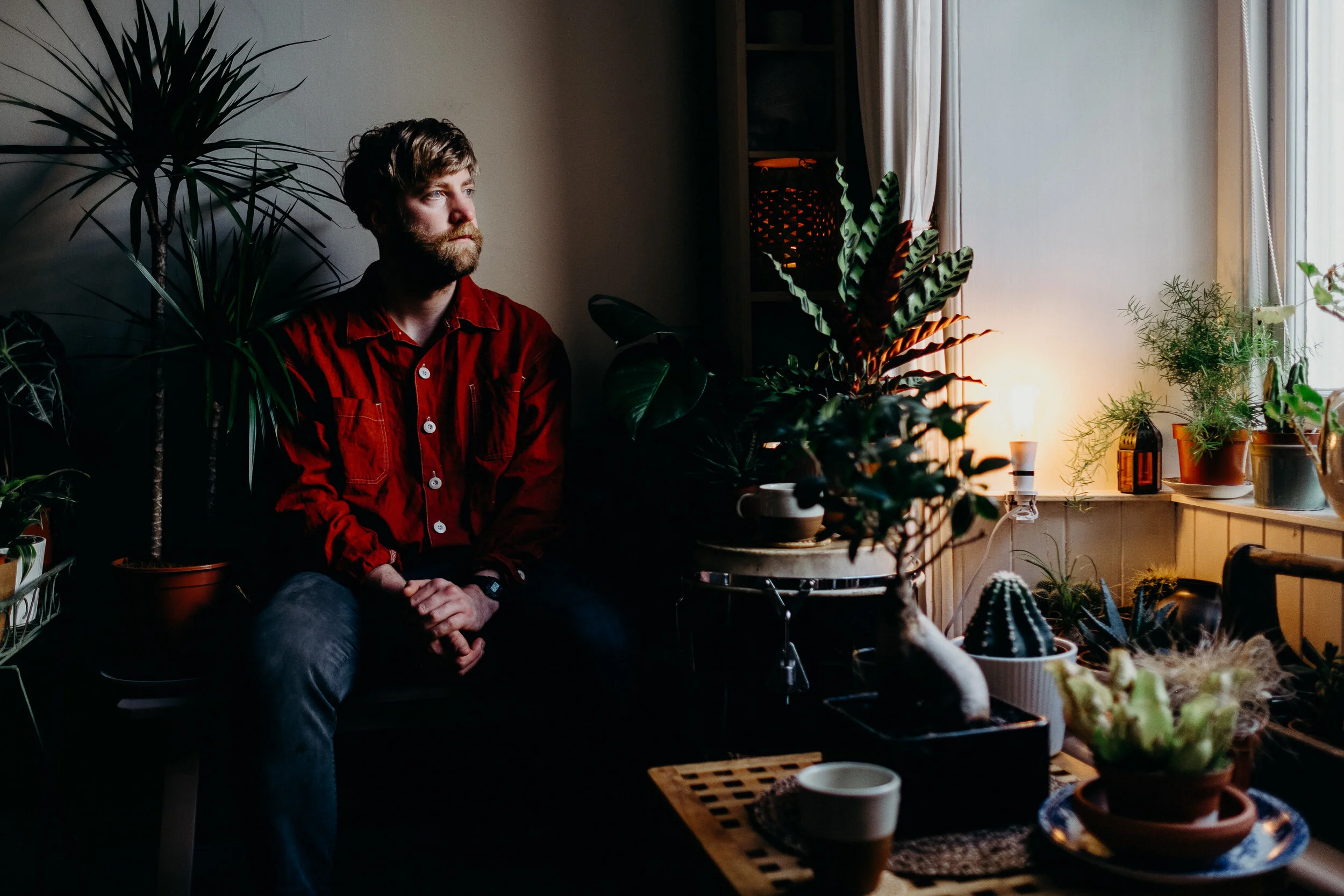 A young man with light brown hair and a beard, wearing a red shirt, sitting on a chair surrounded by indoor plants near a window with curtains, with sunlight illuminating the scene.