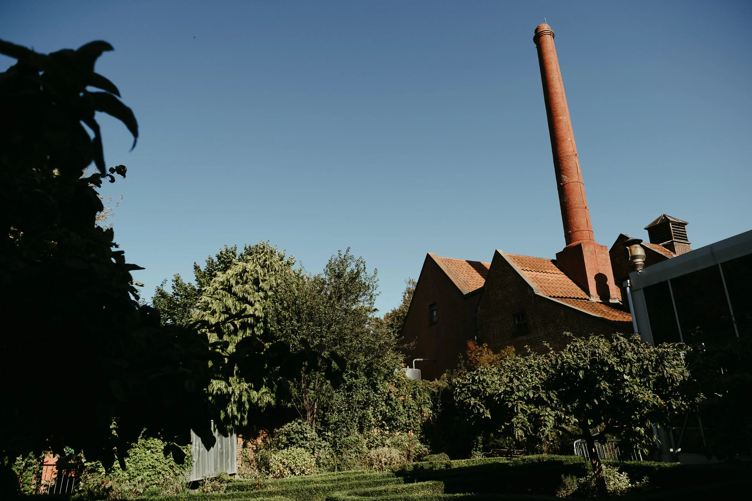 Backyard scene with trees, a house with a brick chimney, and a clear blue sky.