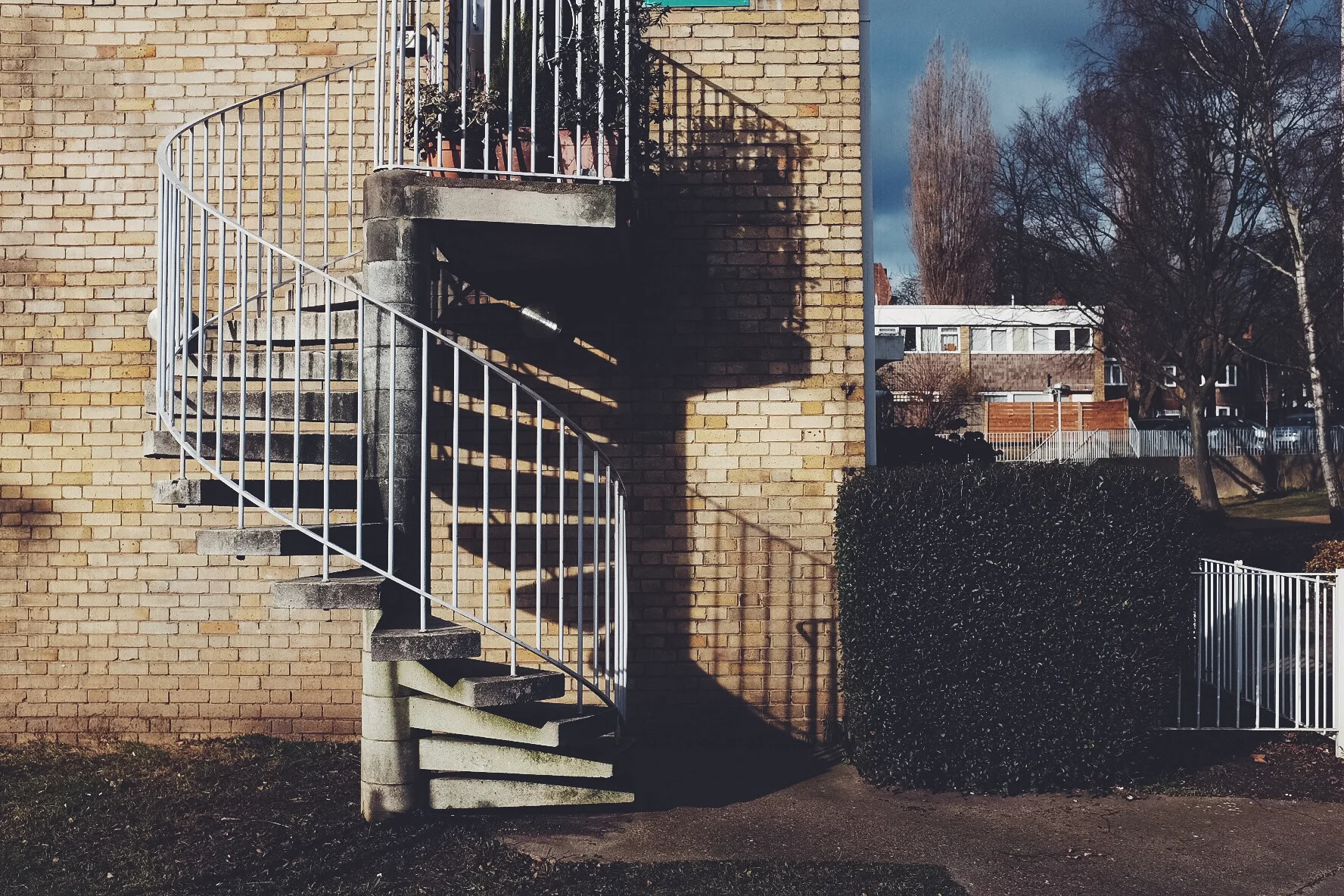 365 Days In Photos // Week 5