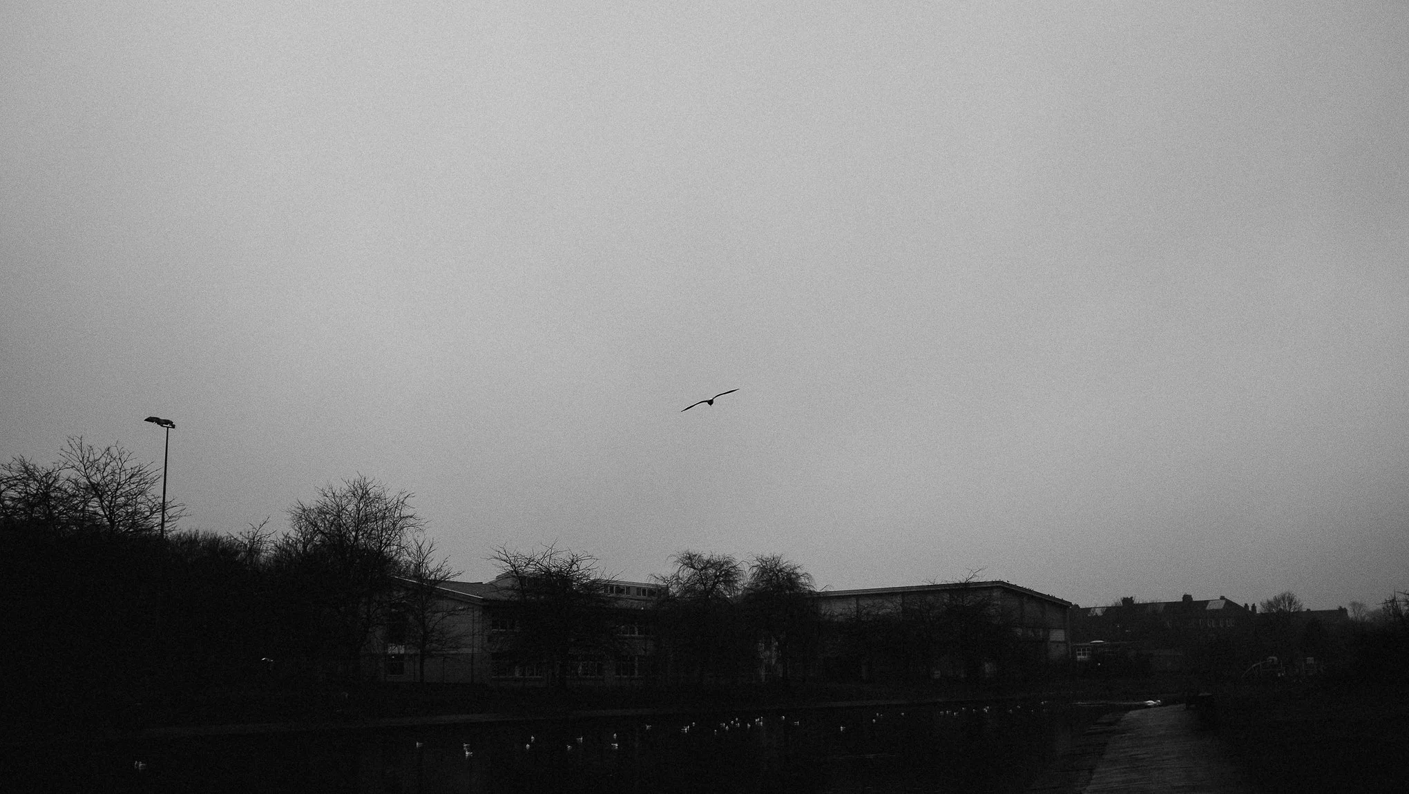 20190106_untitled_004.jpeg