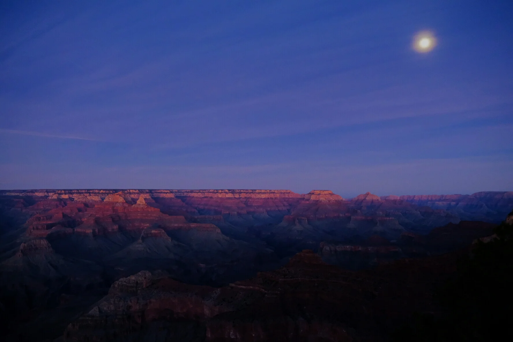 Exploring USA // grand canyon