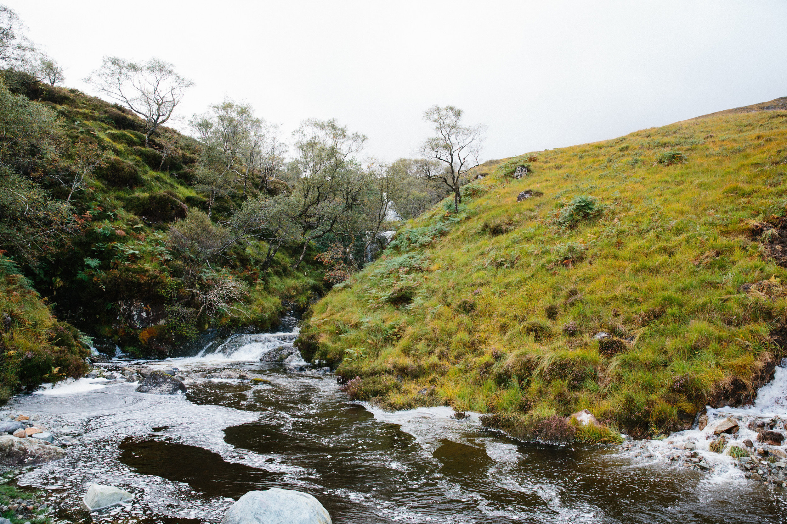 A small river flowing through a green hillside with trees and rocks under a cloudy sky.