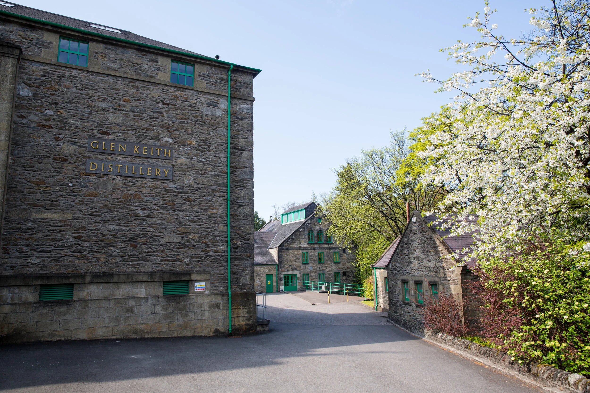 View of the Glen Keith Distillery buildings with stone walls, green window trims, and blooming white flowers on trees, under a clear blue sky.
