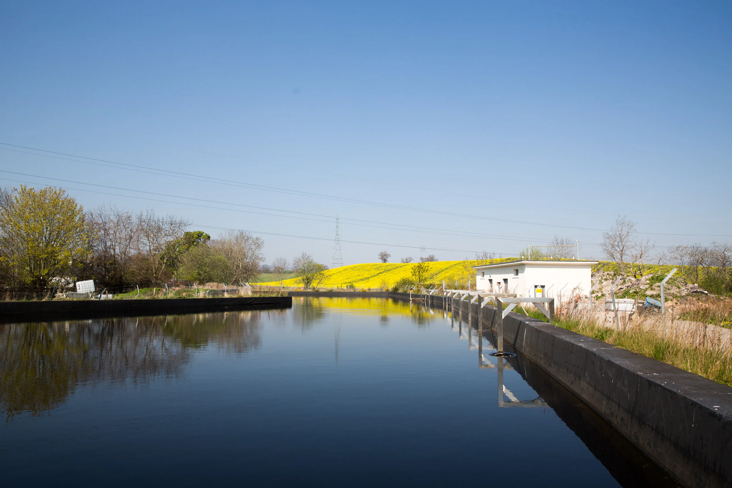 A serene landscape featuring a calm water canal with a black barrier on each side, a white building, trees, a bright yellow flowering field on a hill, and a clear blue sky with distant power lines and a transmission tower.
