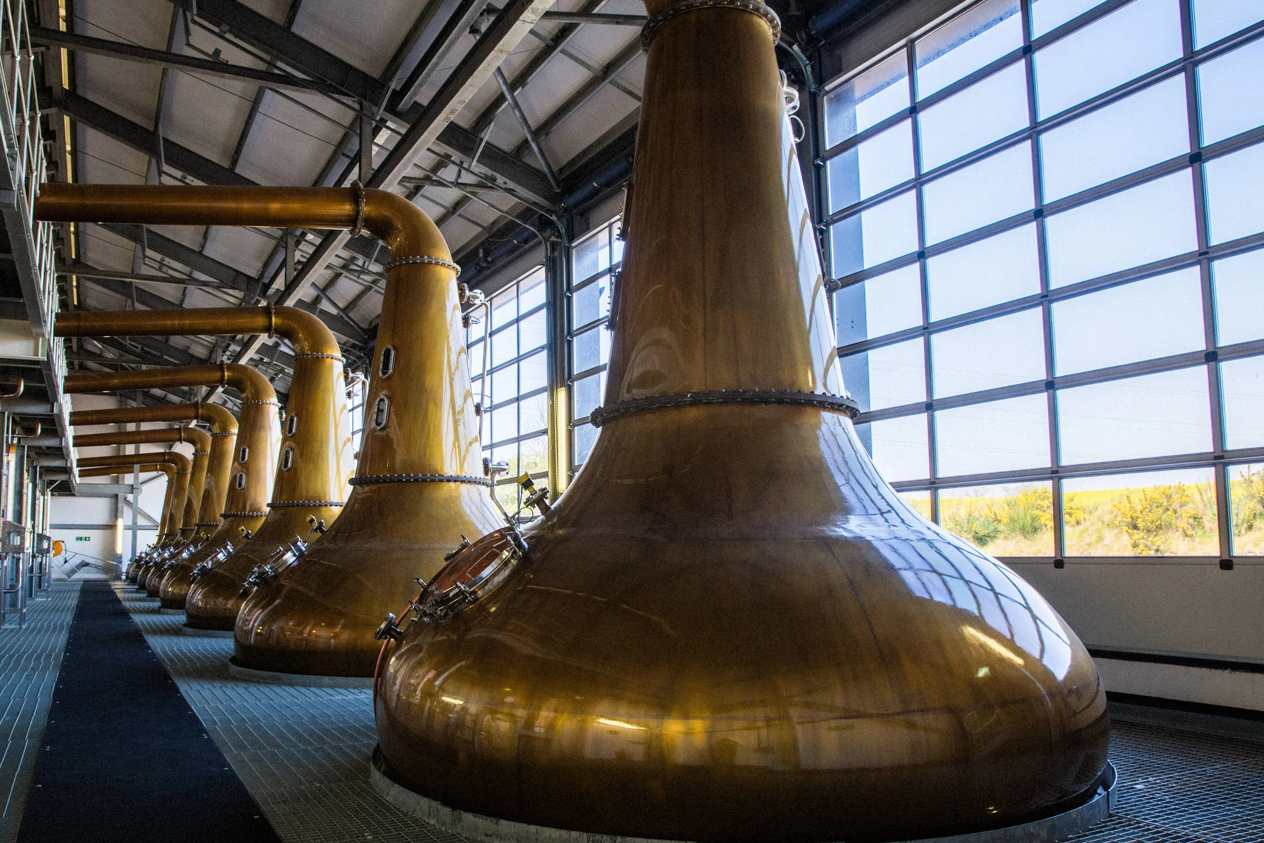 A row of large copper stills inside a modern distillery building with large glass windows and metal framework.