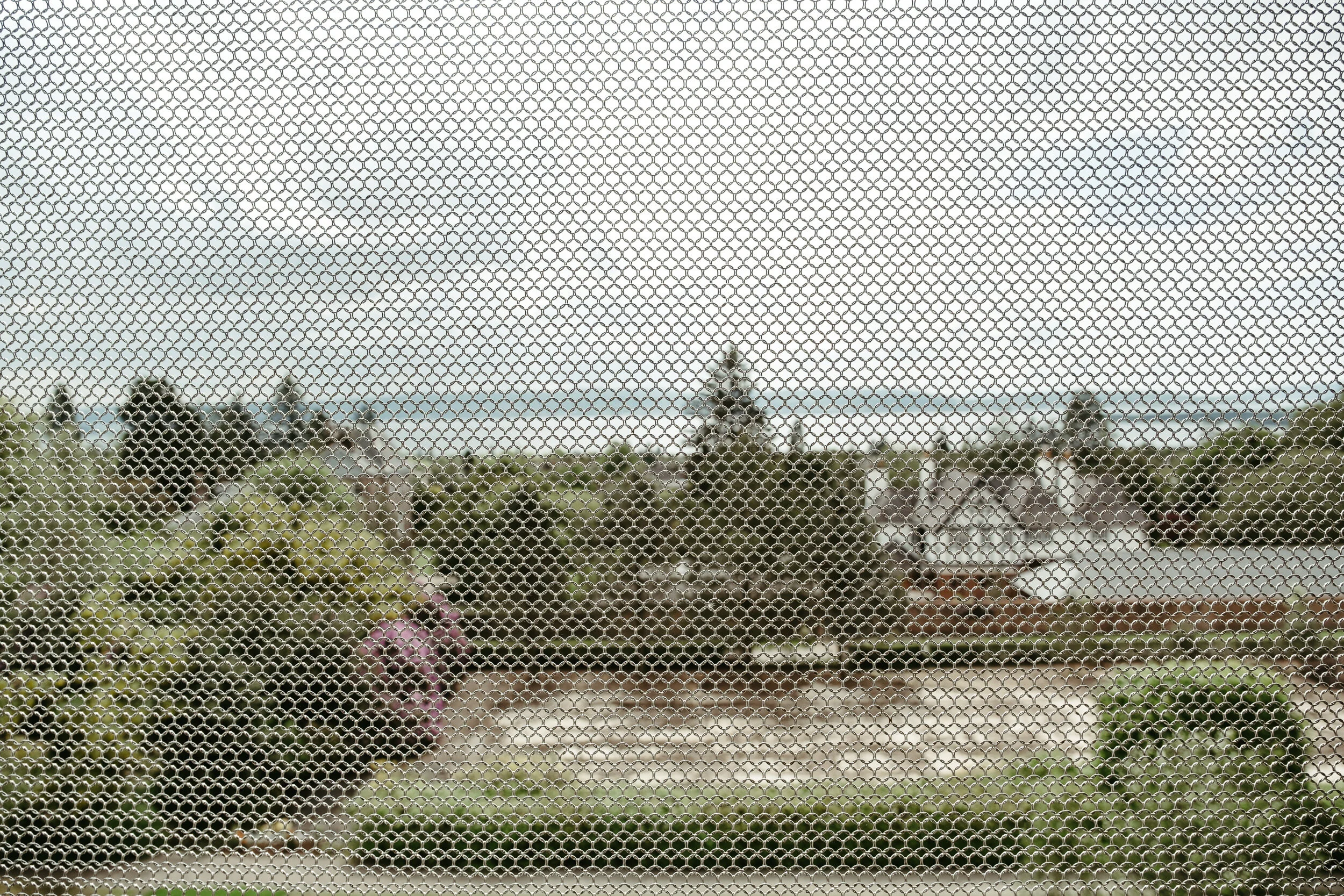View of a garden with greenery and pink flowers seen through a chain-link fence.