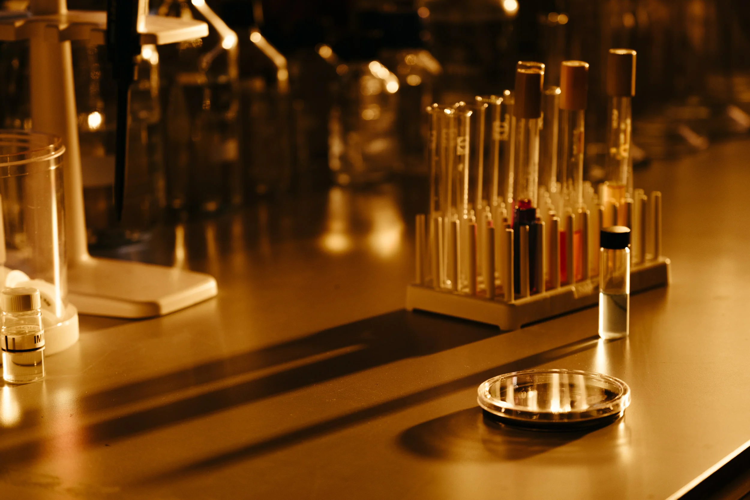Close-up of laboratory equipment on a metallic surface, including test tubes in a rack, and glass containers with liquids, under warm lighting.