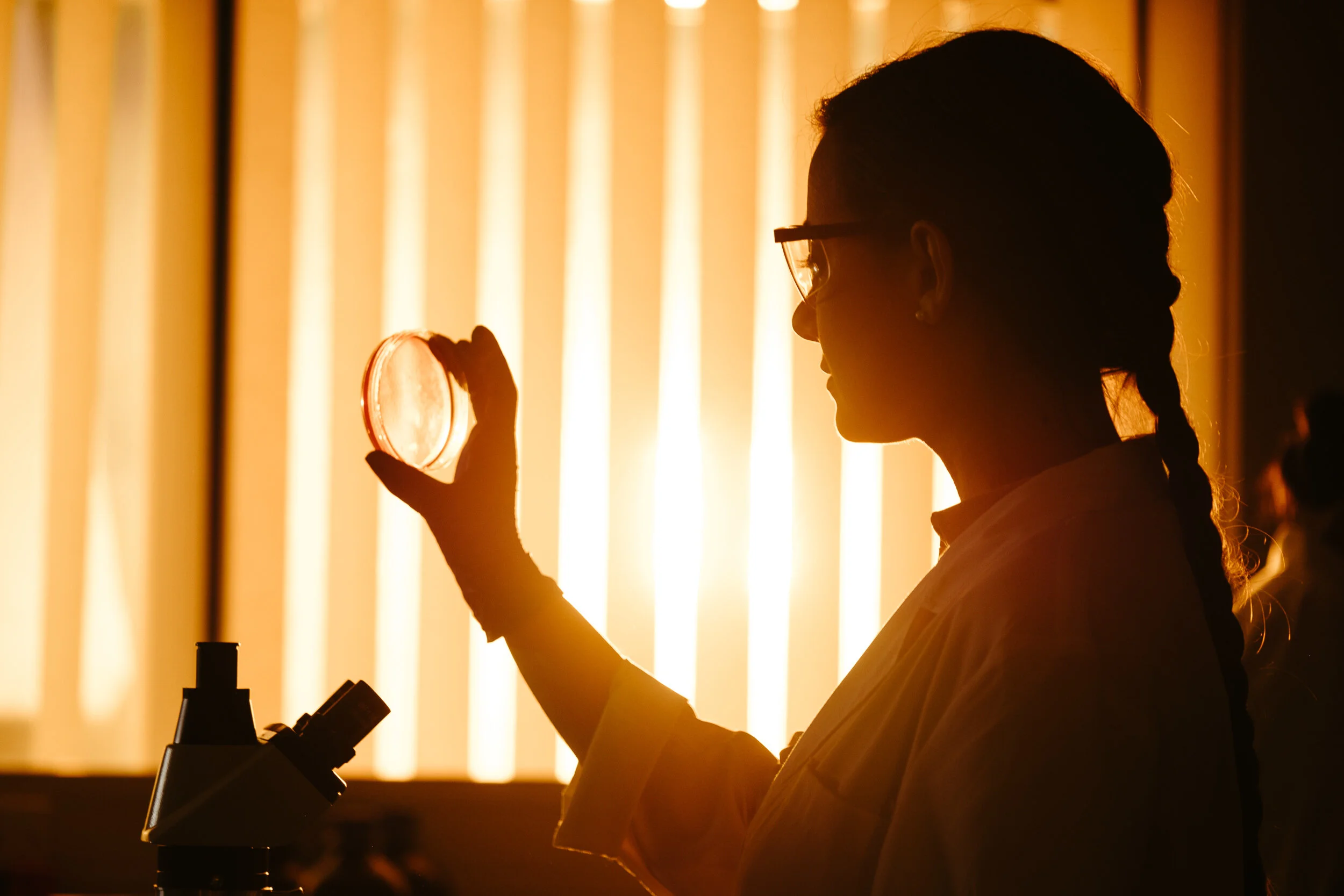 Silhouette of a woman with glasses looking at a petri dish, backlit by warm orange light with blinds in the background.