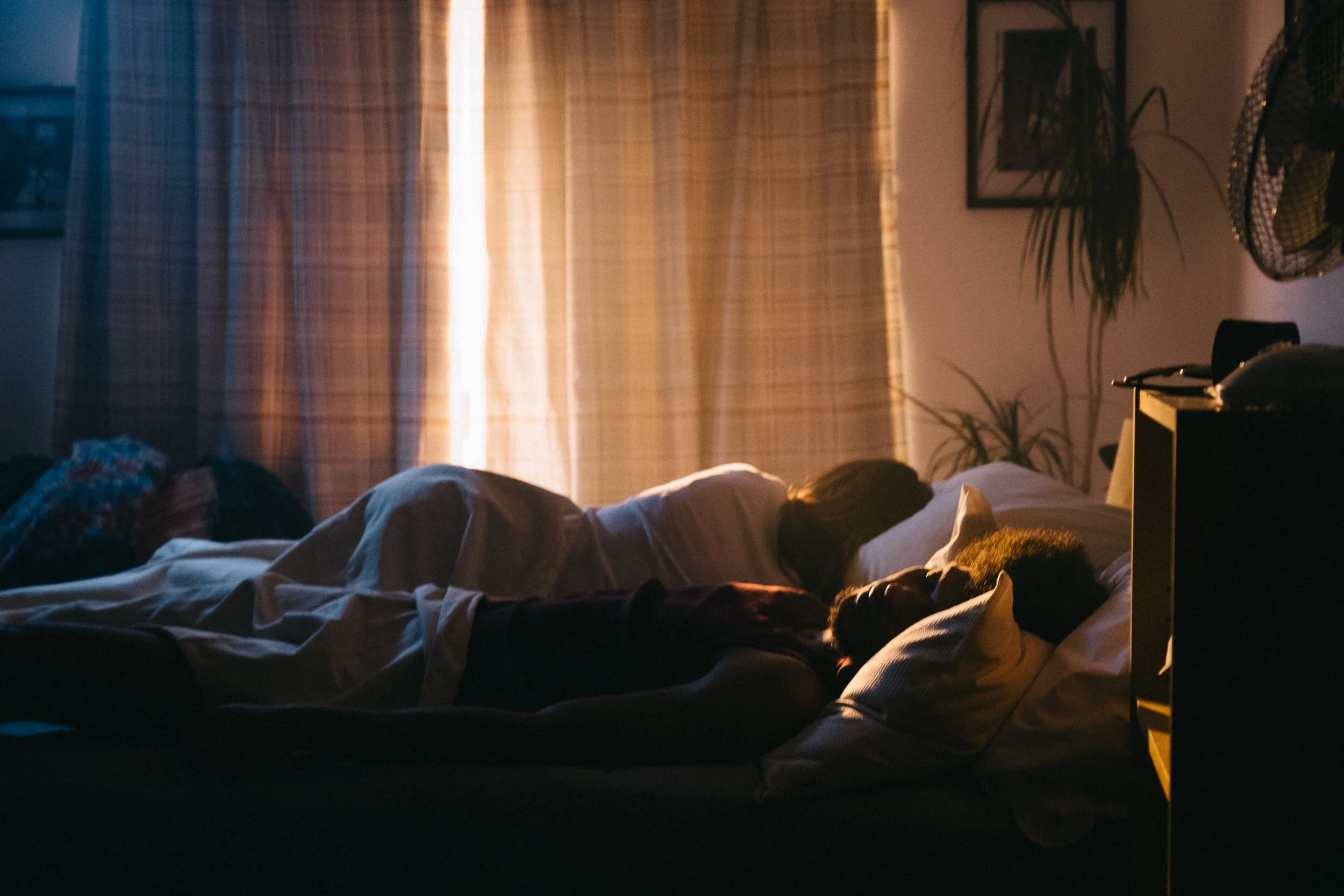 People lying on a bed in a room with sunlight filtering through closed blinds, a houseplant, and wall art.