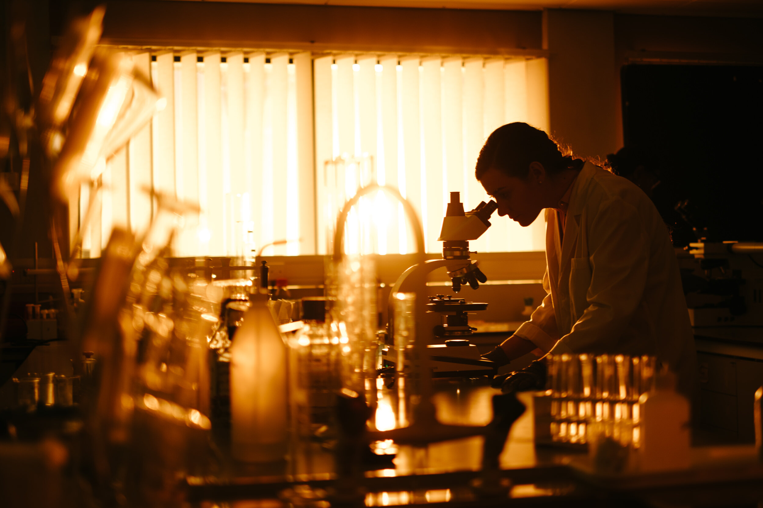 Scientists working in a laboratory, viewed through the oven door, with a bright light illuminating the scene and various laboratory equipment in the foreground.