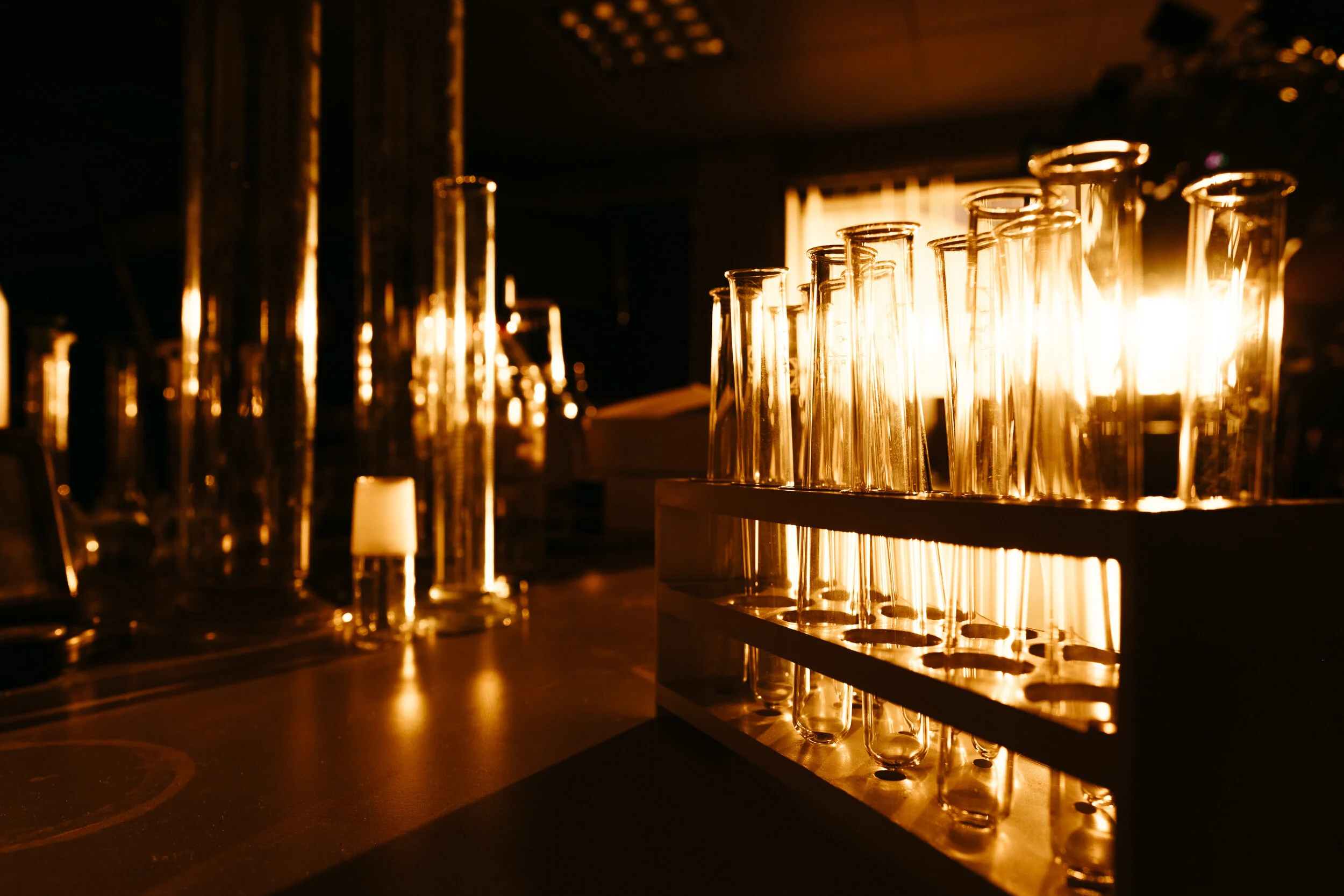 A dimly lit image of a science laboratory with test tubes on a rack illuminated by warm, orange lighting.