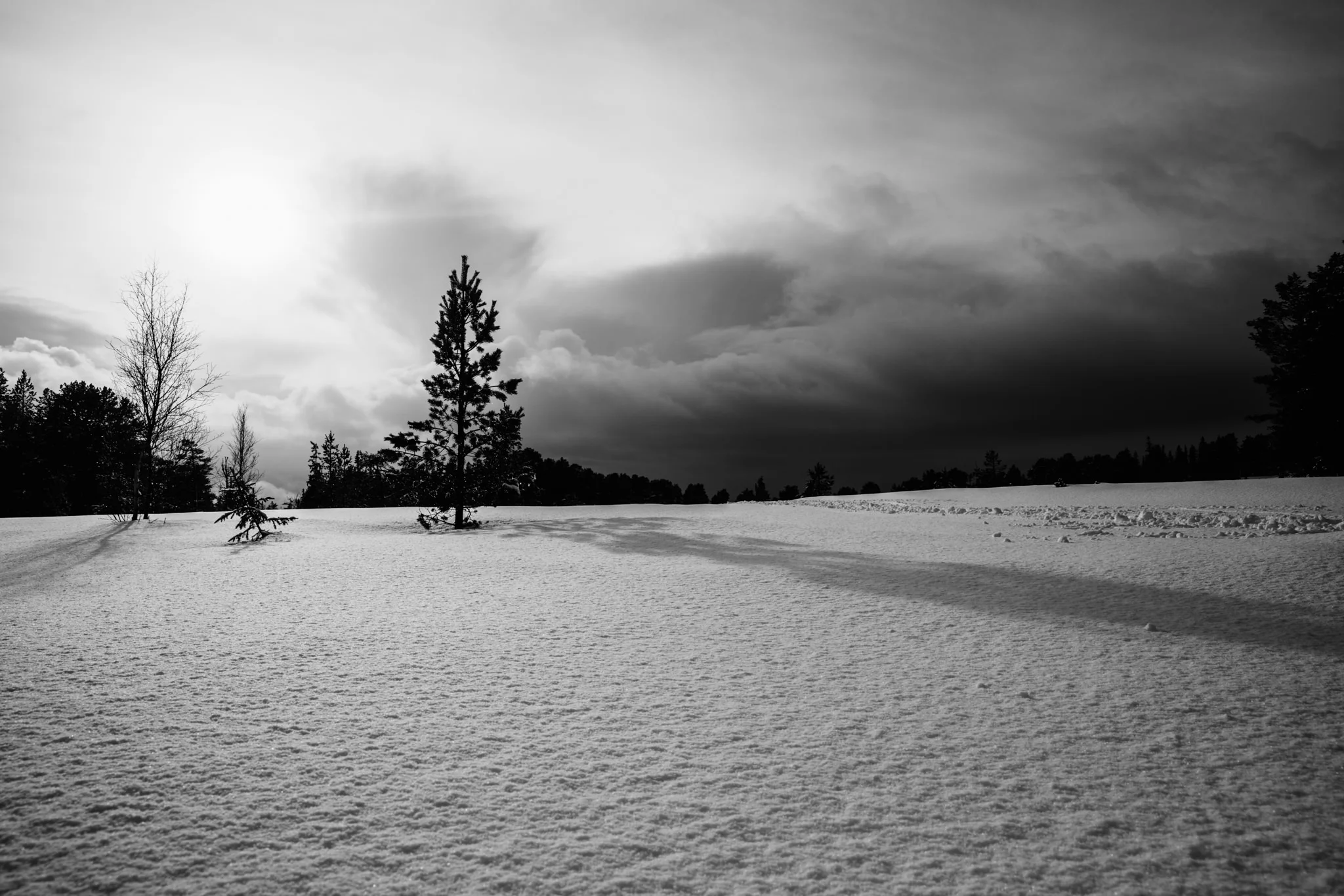 Black and white photograph of a snowy landscape with a few scattered trees, dark clouds in the sky, and footprints in the snow.