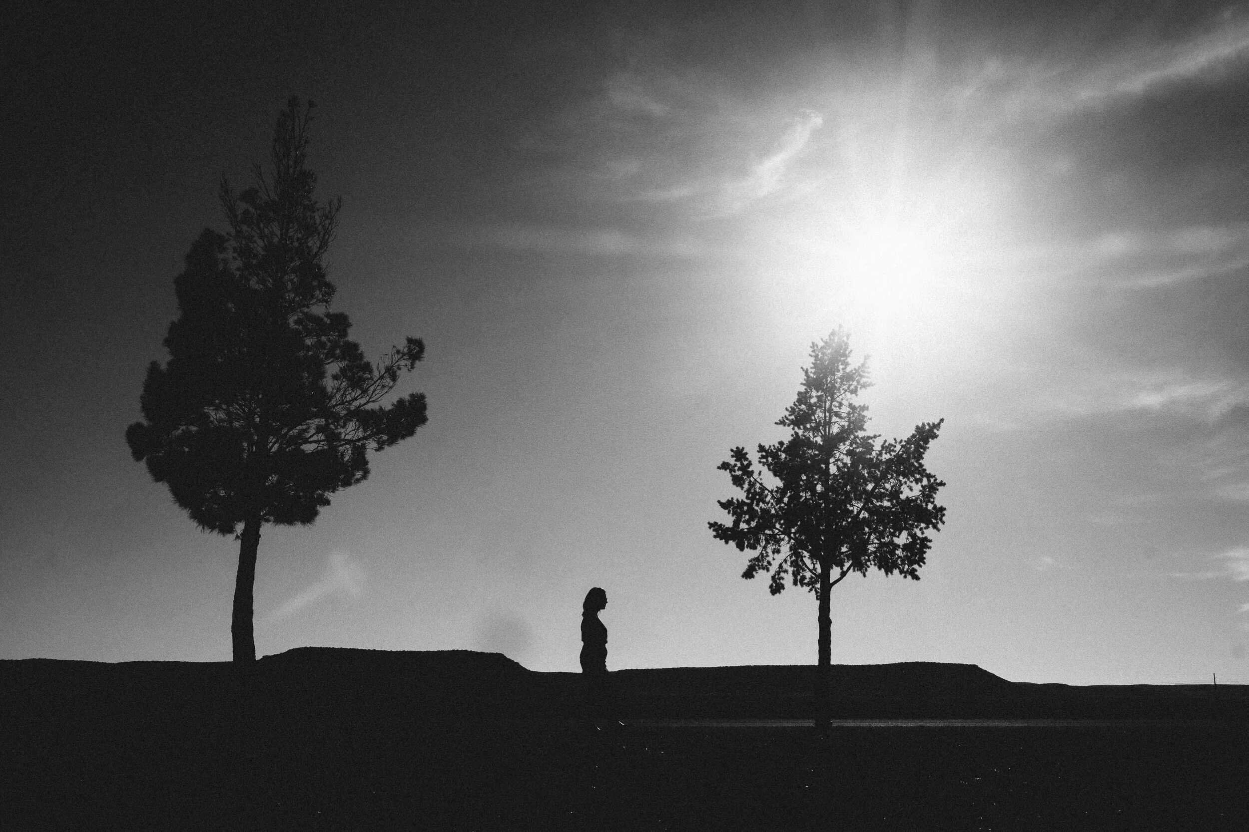 Black and white photo of three tall trees along the horizon with a person walking underneath, set against a bright sky with clouds.