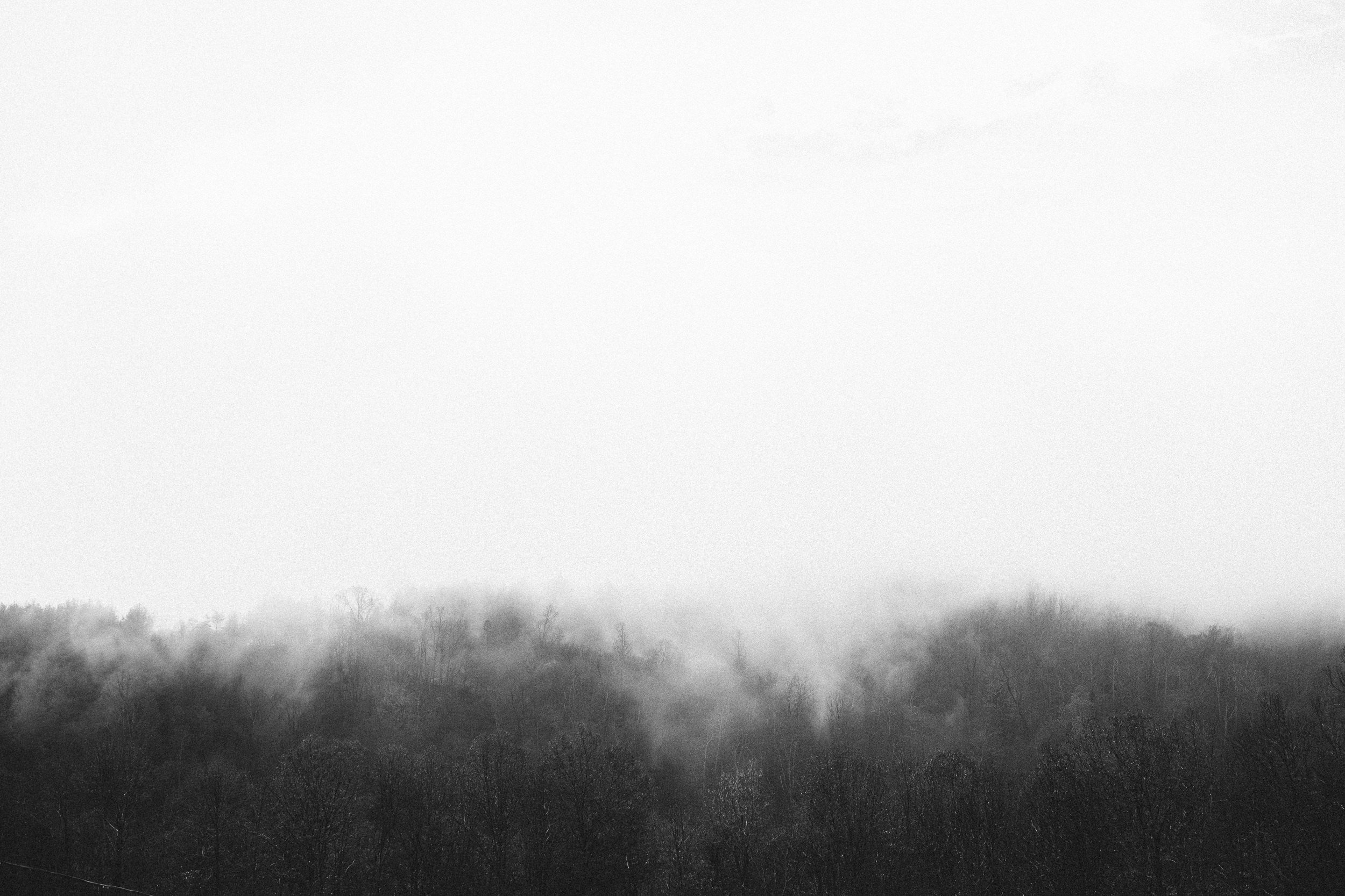 A black and white landscape image displaying foggy rolling hills with trees in the foreground and fog obscuring the background.