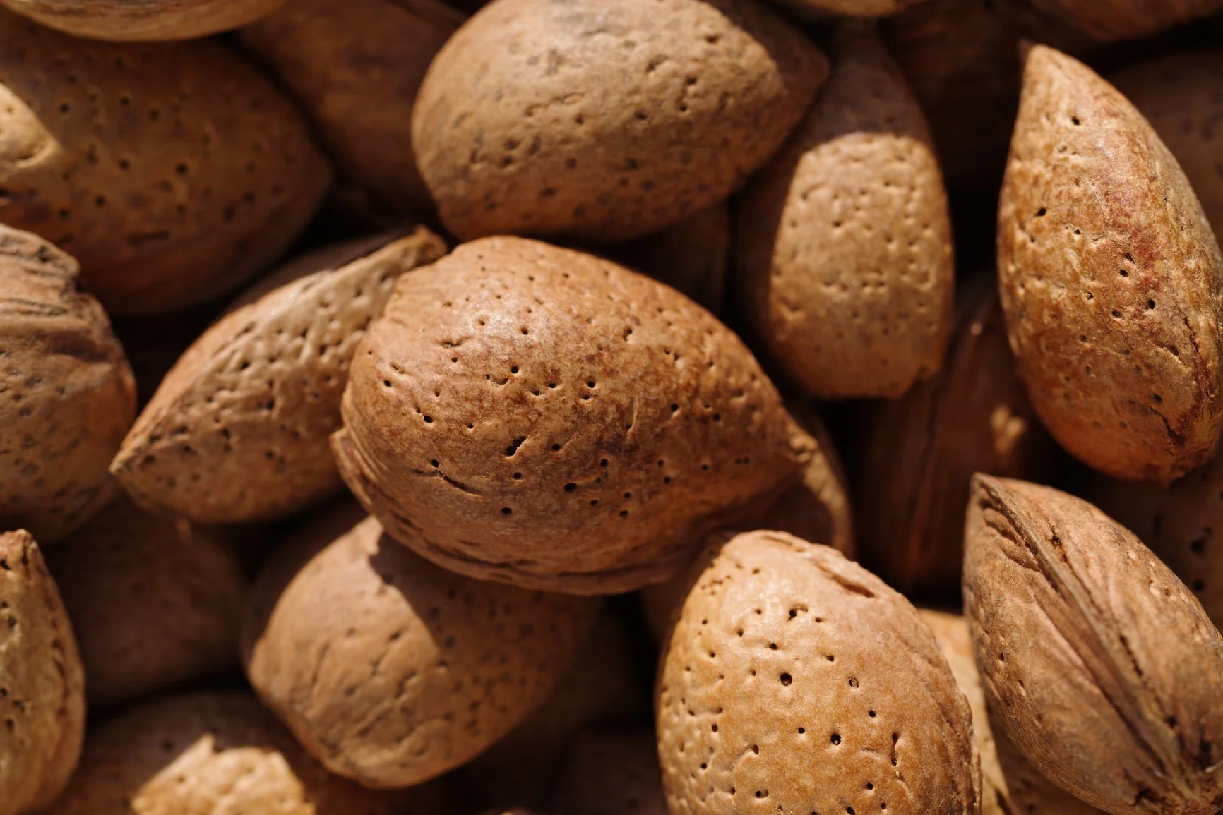 Sweet Almond Oil: Nature’s Secret for Nourished Skin