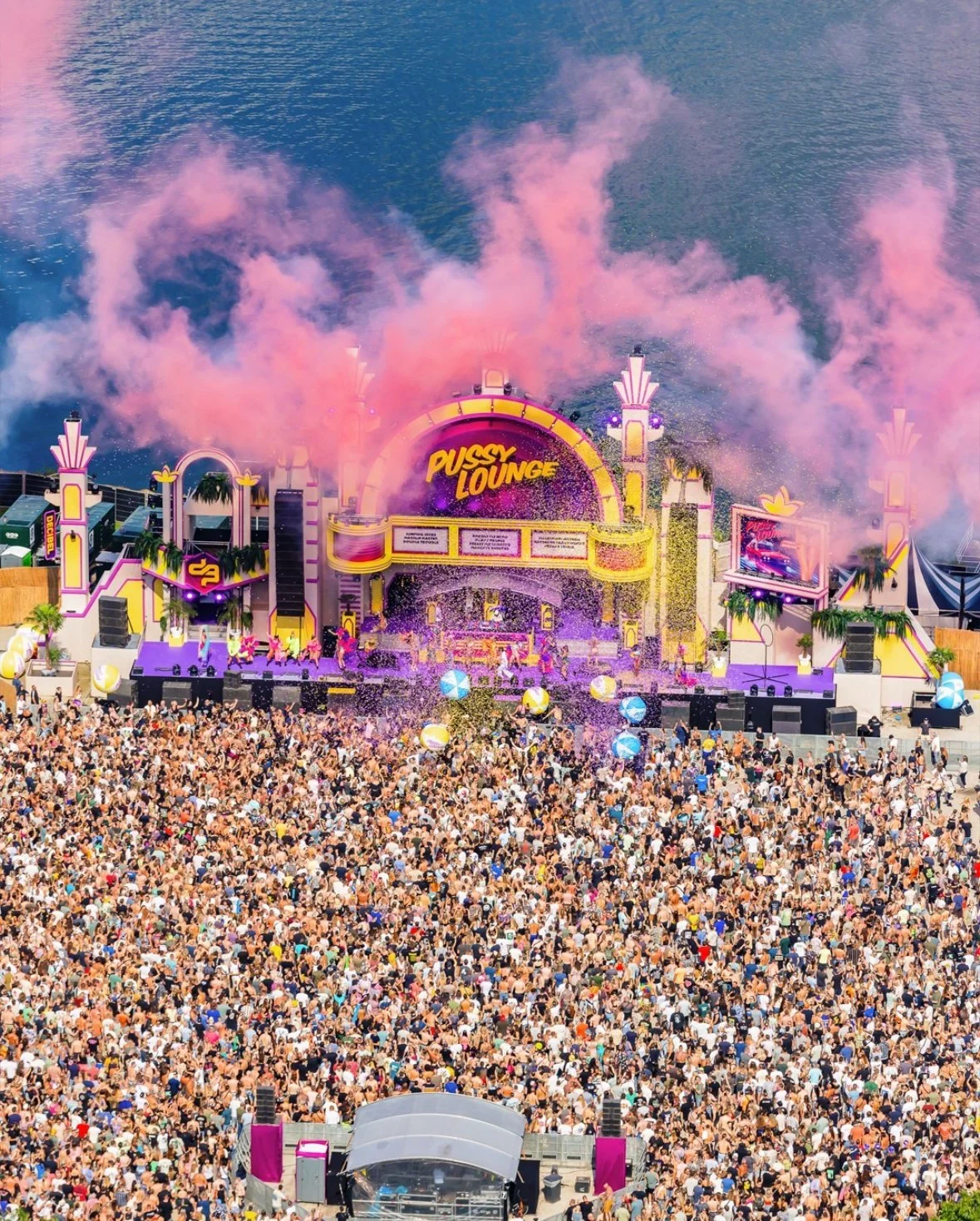 Groot publiek tijdens een elektronisch muziekfestival met live show en entertainment acts.