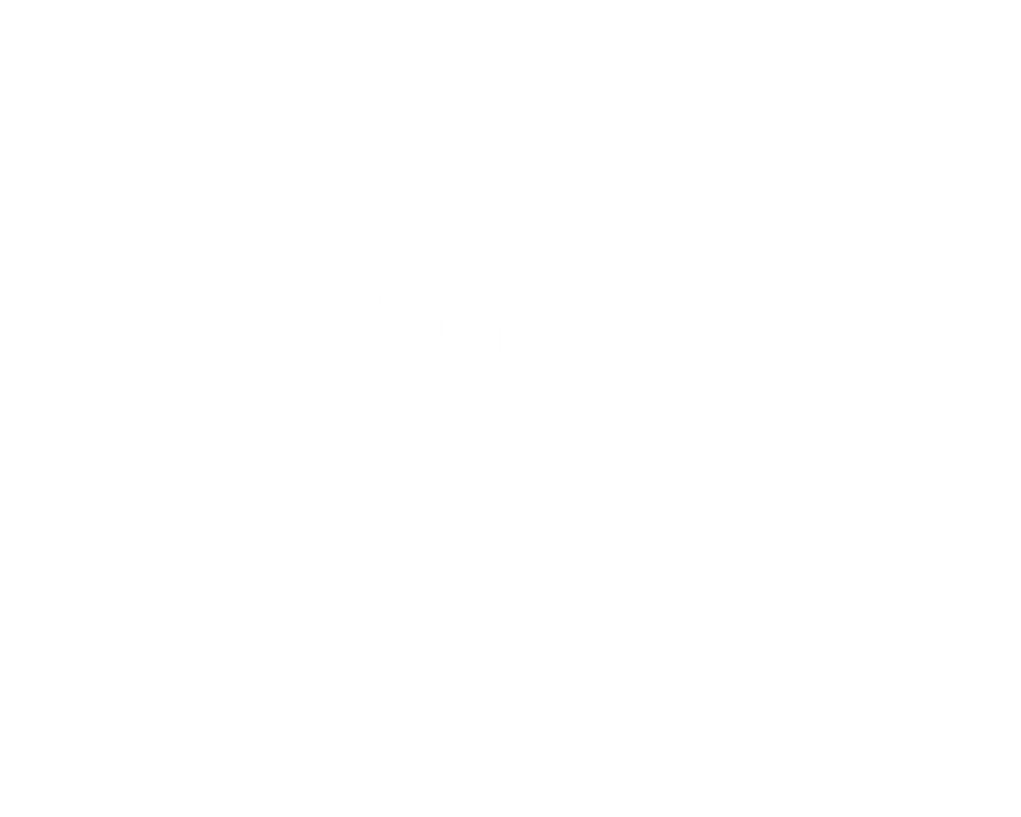Een zwart-wit logo met de letters 'BDS' binnen een cirkel en vier spijkers die de cirkel vasthouden.