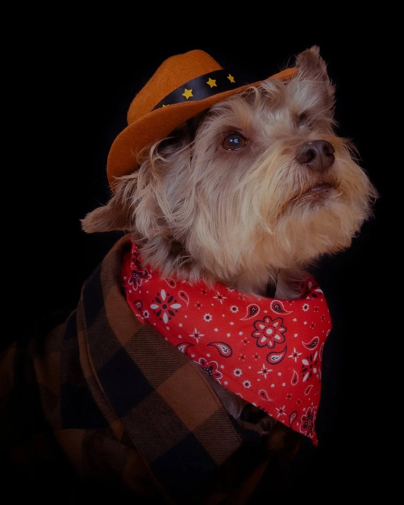 Photo credit: Danielle Spires