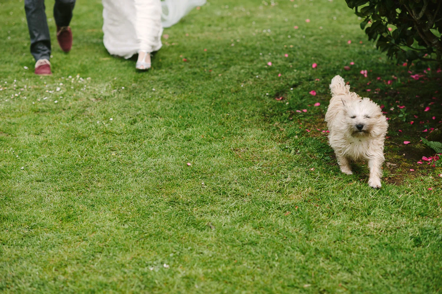  Alternative Belfast Northern Ireland and European Destination Wedding Photographers 