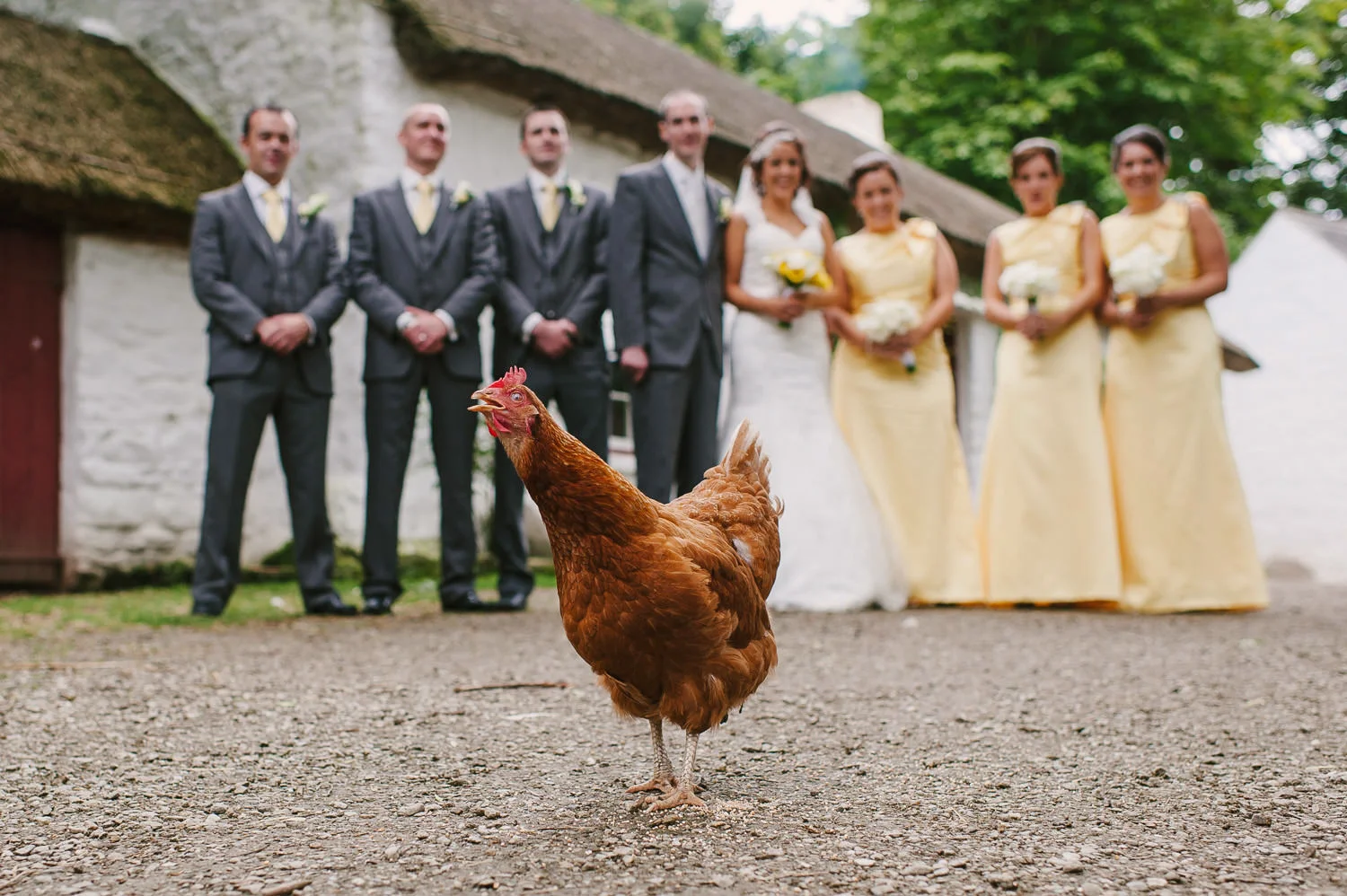  Alternative Belfast Northern Ireland and European Destination Wedding Photographers 