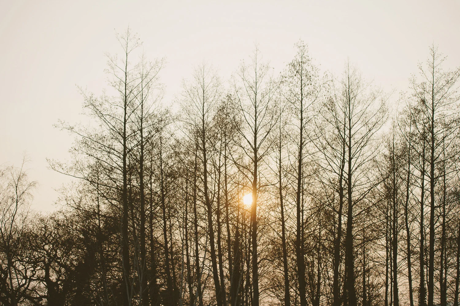  Alternative Belfast Northern Ireland and European Destination Wedding Photographers 