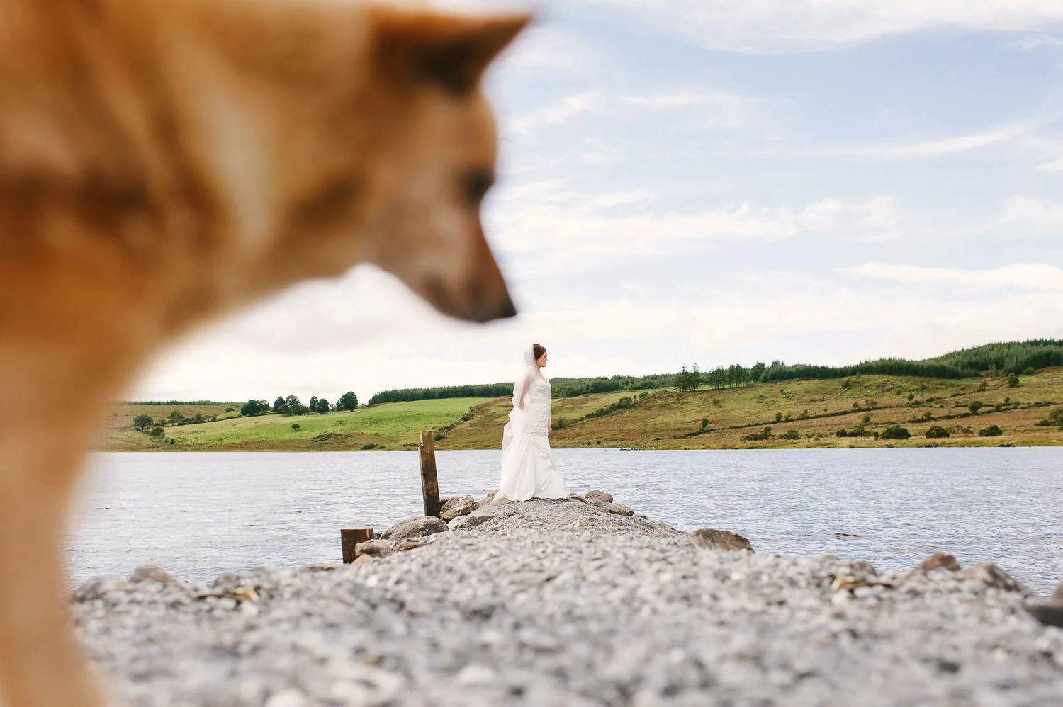  Alternative Belfast Northern Ireland and European Destination Wedding Photographers 