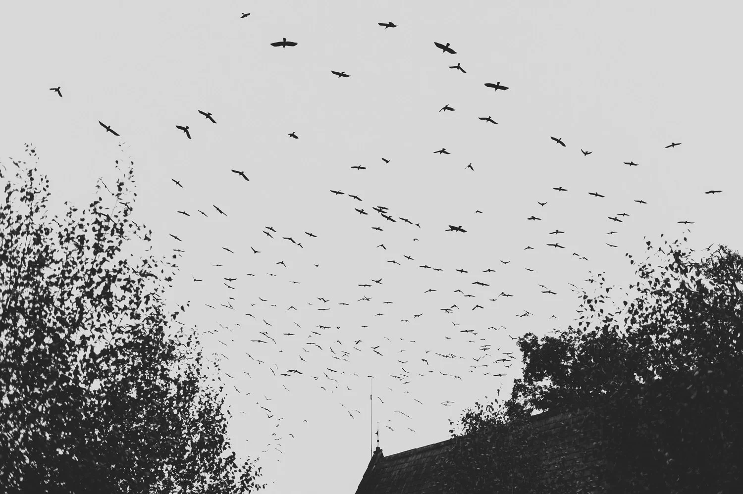  Alternative Belfast Northern Ireland and European Destination Wedding Photographers 