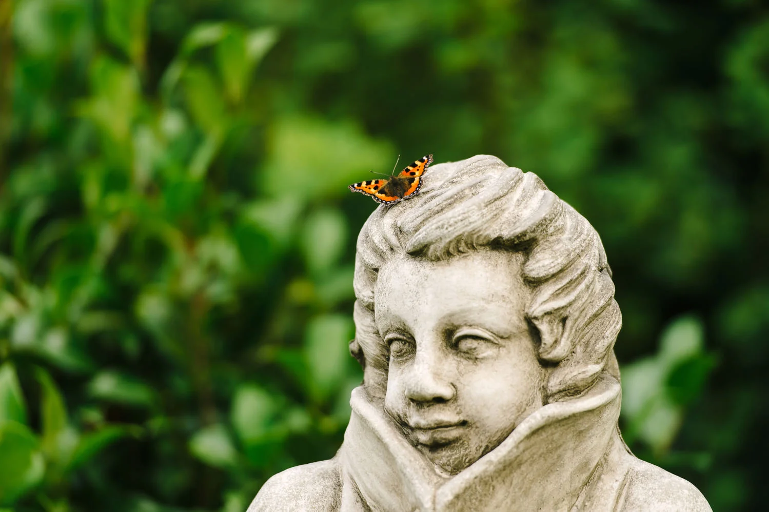  Alternative Belfast Northern Ireland and European Destination Wedding Photographers 