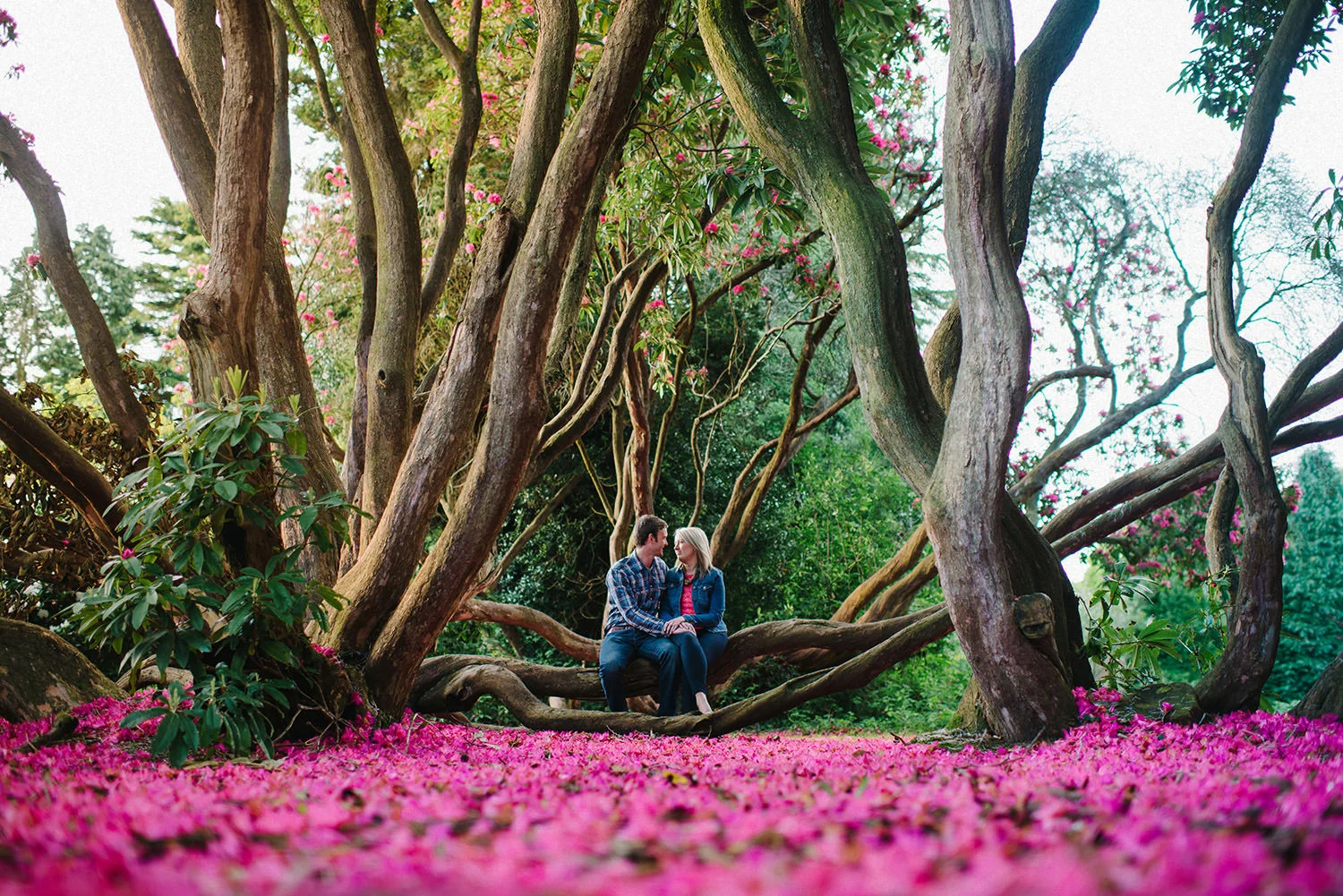  Northern Ireland Wedding Photographers 
