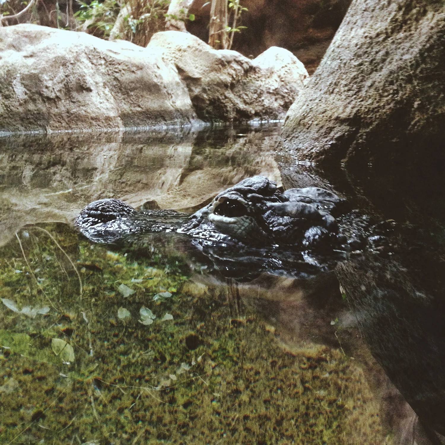  Barcelona Spain Destination Wedding Photographers 