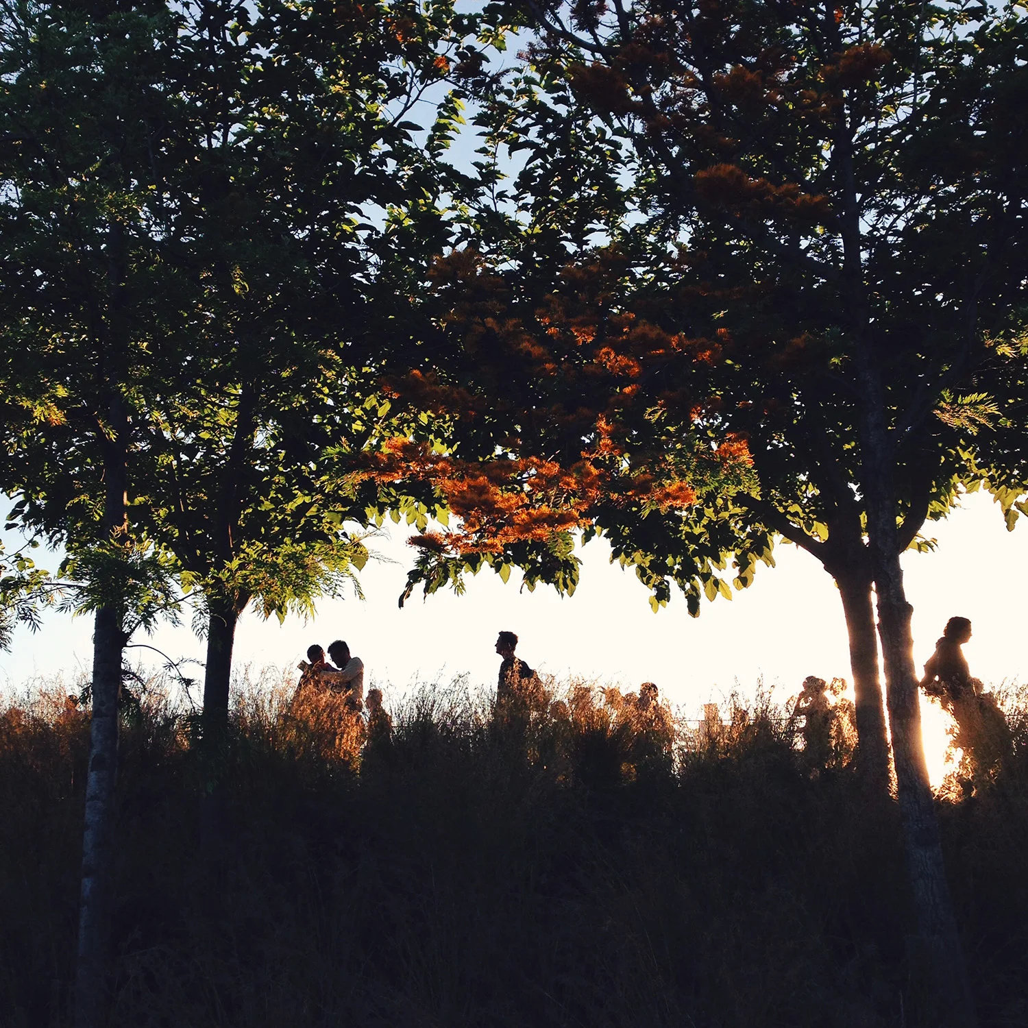  Barcelona Spain Destination Wedding Photographers 