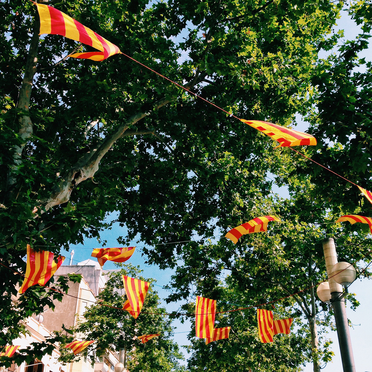  Barcelona Spain Destination Wedding Photographers 