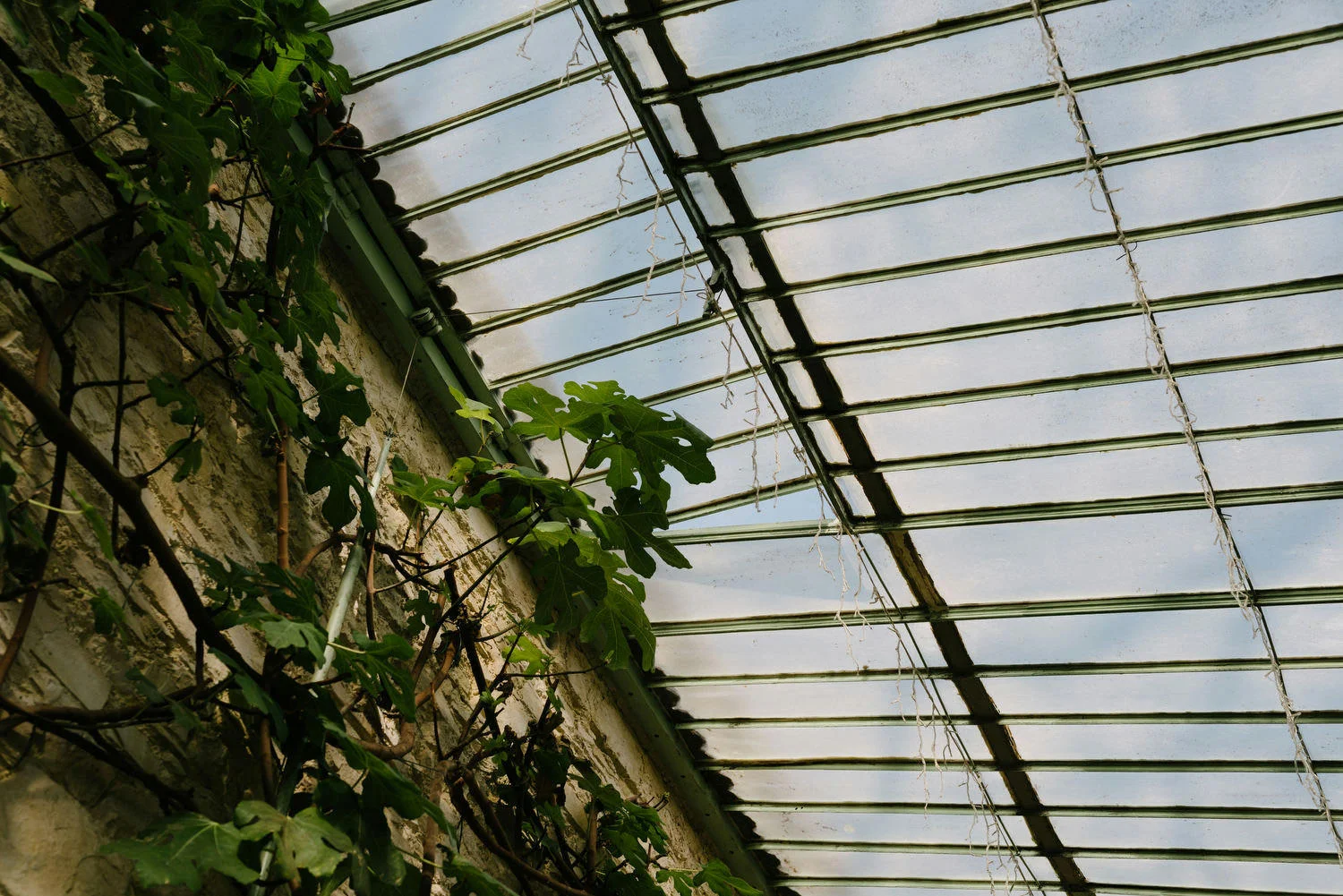  Village at Lyons Wedding photos photography.  Best Wedding photographers Ireland. 