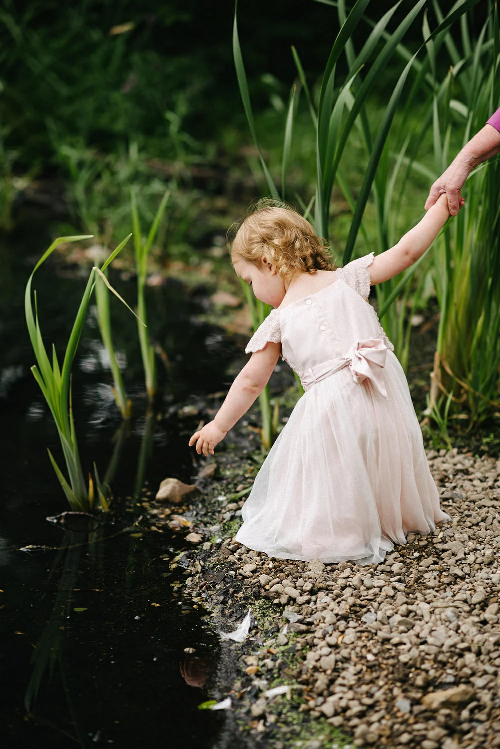  Finnebrogue Woods Magnakata wedding Northern Ireland Belfast wedding photographers 