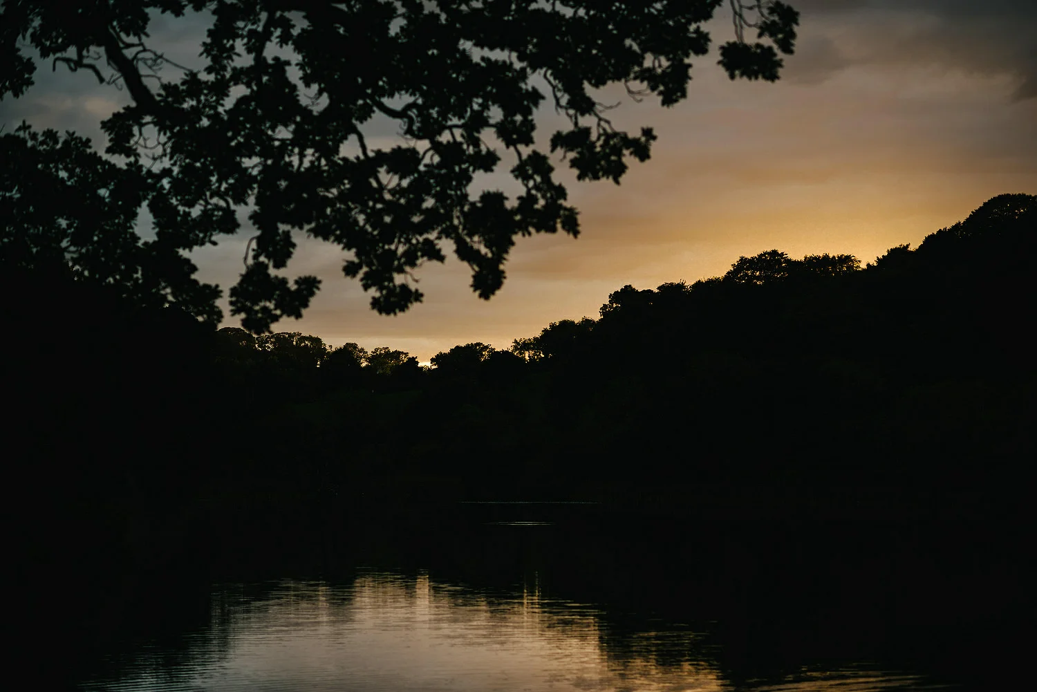  Finnebrogue Woods Magnakata wedding Northern Ireland Belfast wedding photographers 