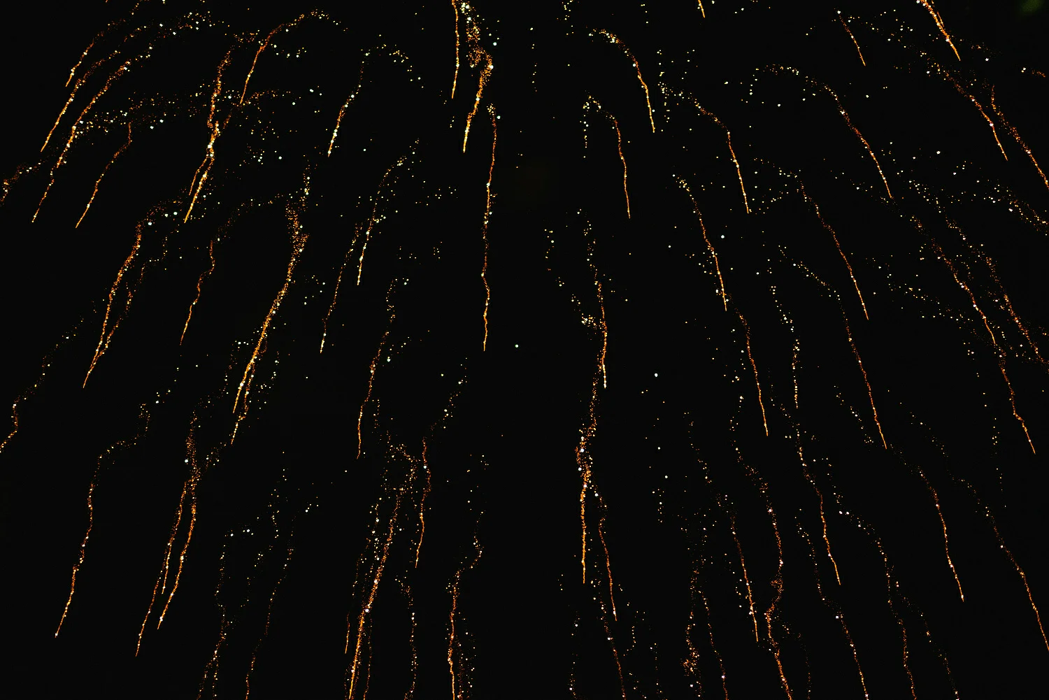  Finnebrogue Woods Magnakata wedding Northern Ireland Belfast wedding photographers 